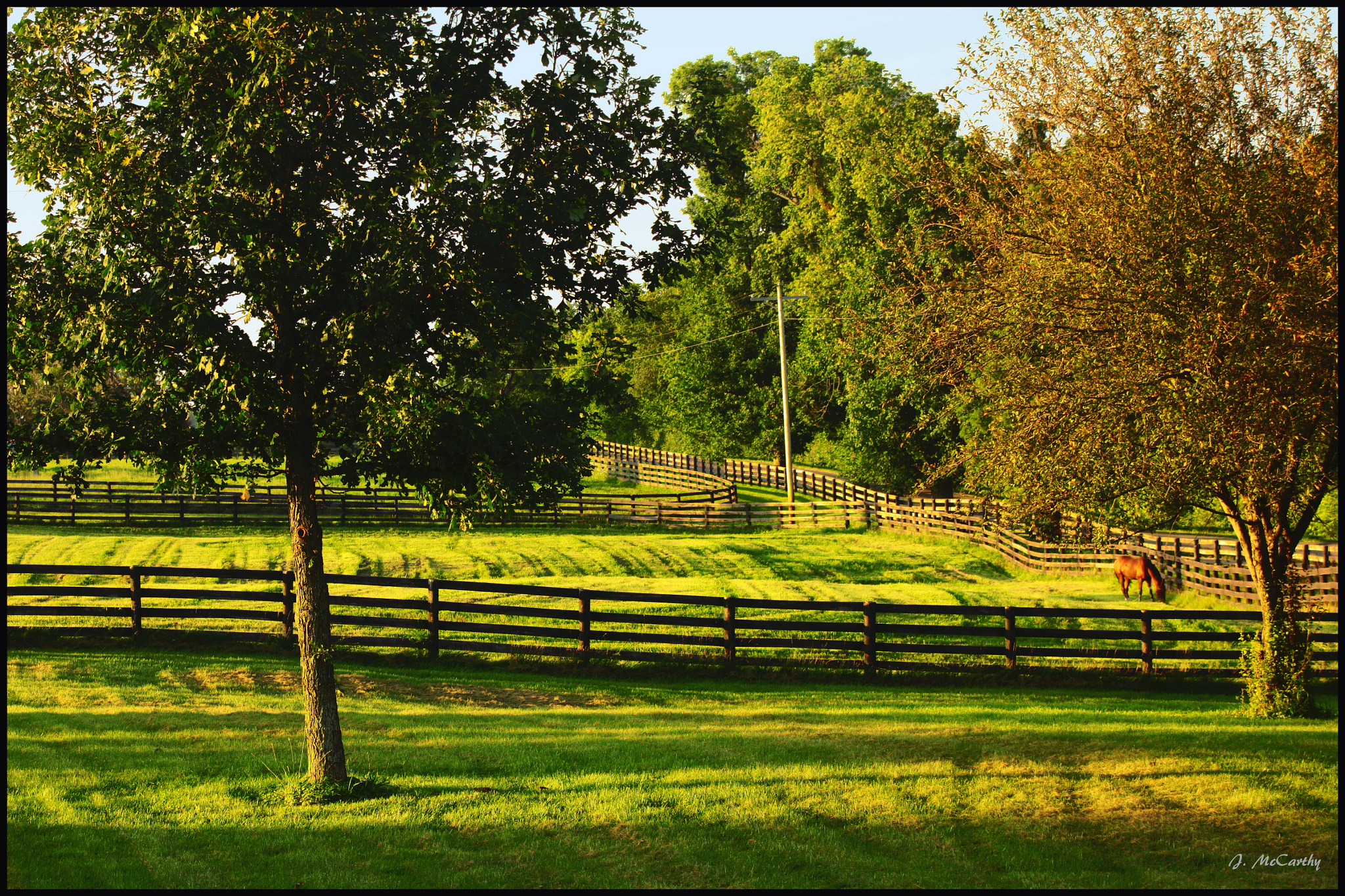 Canon EF 75-300mm f/4-5.6 USM sample photo. A stud farm sunset photography