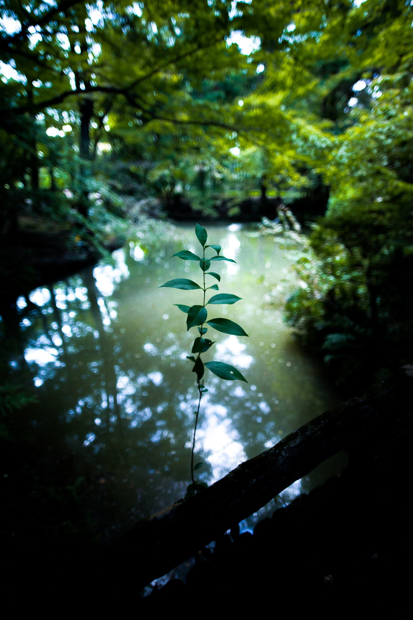 Sigma 20mm EX f/1.8 sample photo