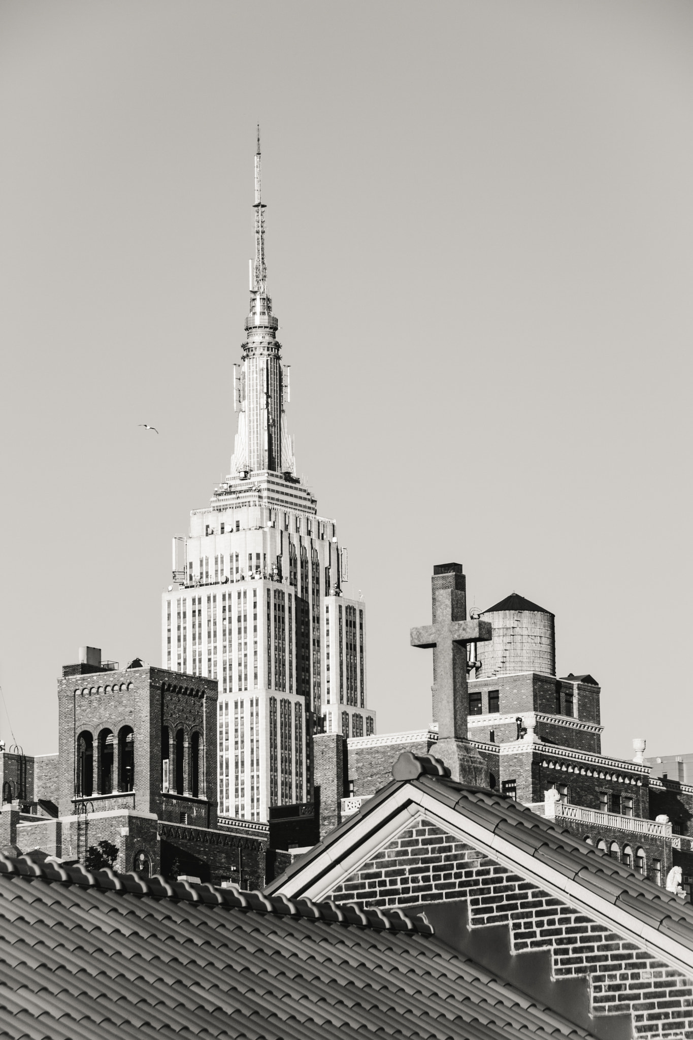 Sigma 18-250mm F3.5-6.3 DC OS HSM sample photo. Empire states view photography