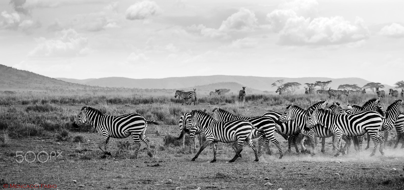 Canon EOS 450D (EOS Rebel XSi / EOS Kiss X2) + EF75-300mm f/4-5.6 sample photo. Tanzania photography