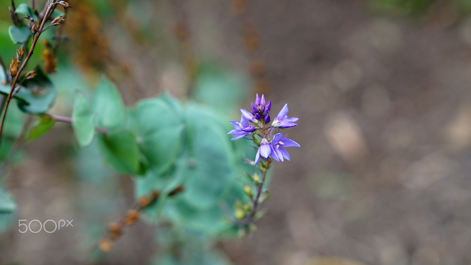 Sony a7S II + Sony FE 24-70mm F2.8 GM sample photo. Since you've been gone i can breath photography