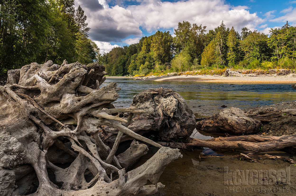 Sigma AF 10-20mm F4-5.6 EX DC sample photo. Foreground abstract photography