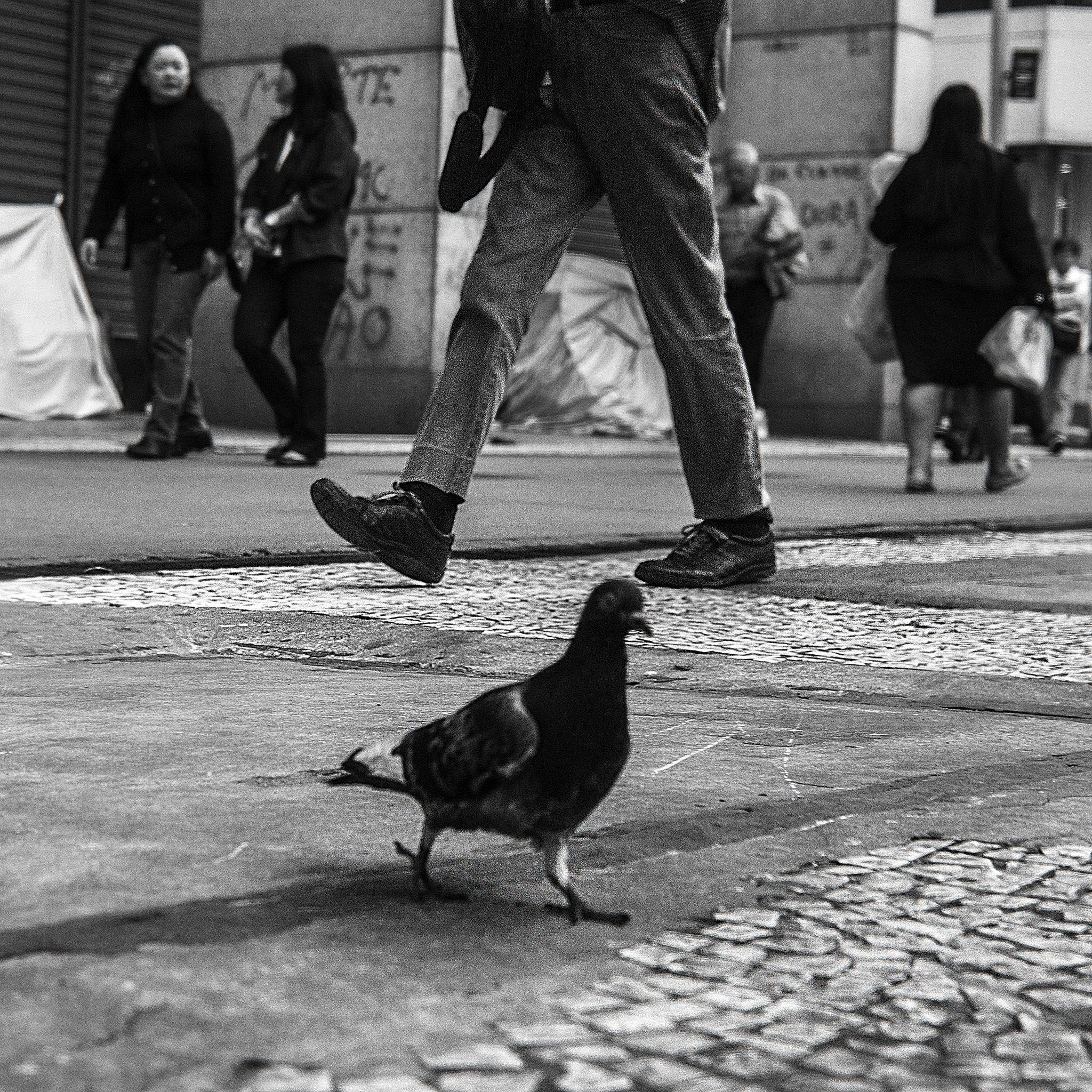 Canon EOS 550D (EOS Rebel T2i / EOS Kiss X4) + Canon EF 35mm F2 IS USM sample photo. Urban wanderers photography