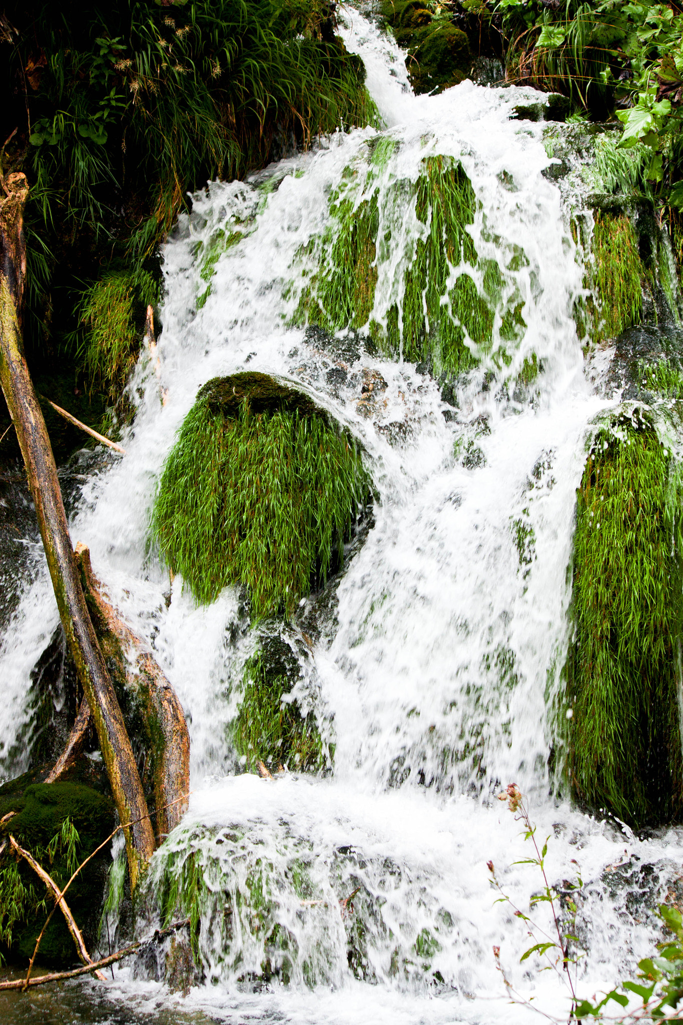 Canon EOS 450D (EOS Rebel XSi / EOS Kiss X2) sample photo. White water and green photography