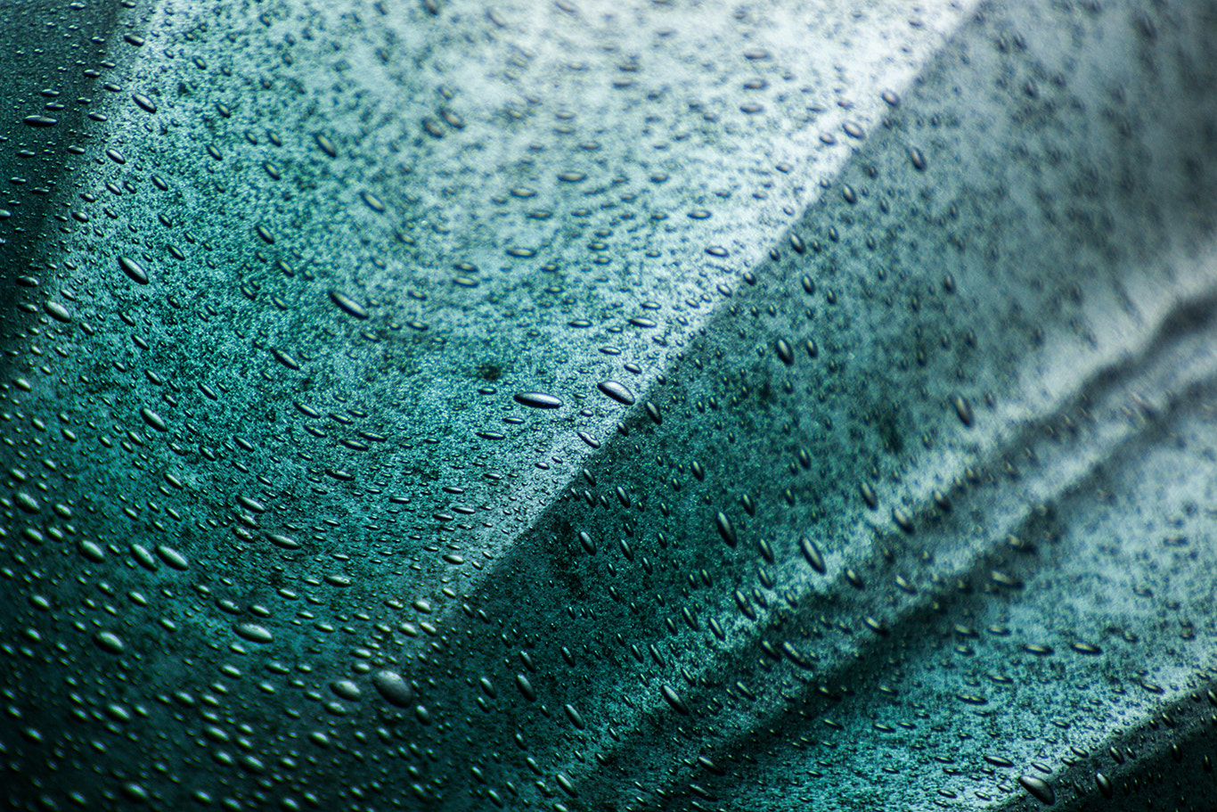 Tamron SP 35mm F1.8 Di VC USD sample photo. Green glass photography