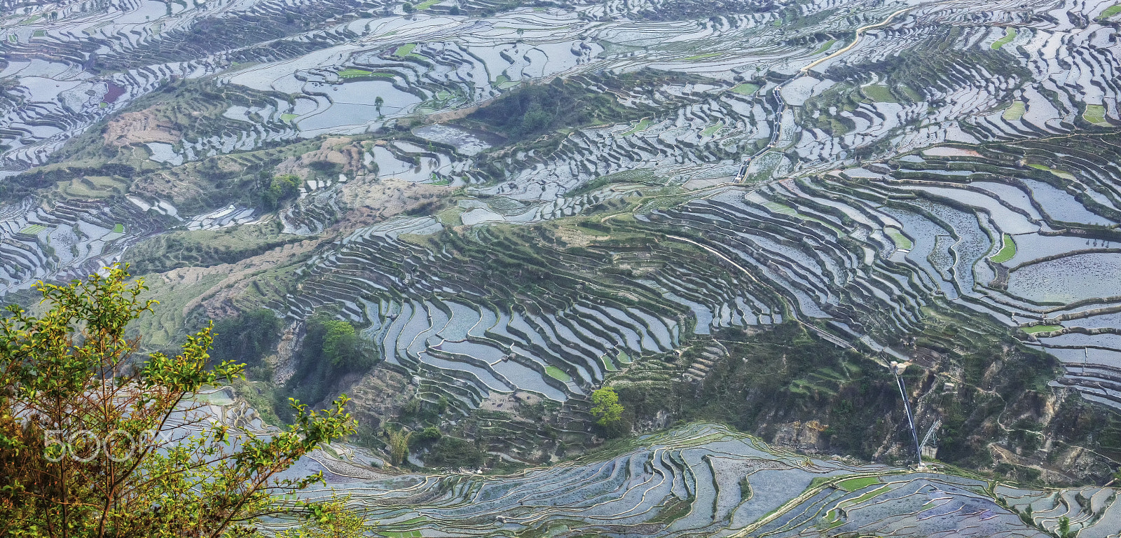 Canon EOS 5DS + Canon EF 70-200mm F4L IS USM sample photo. Vast terraced field photography