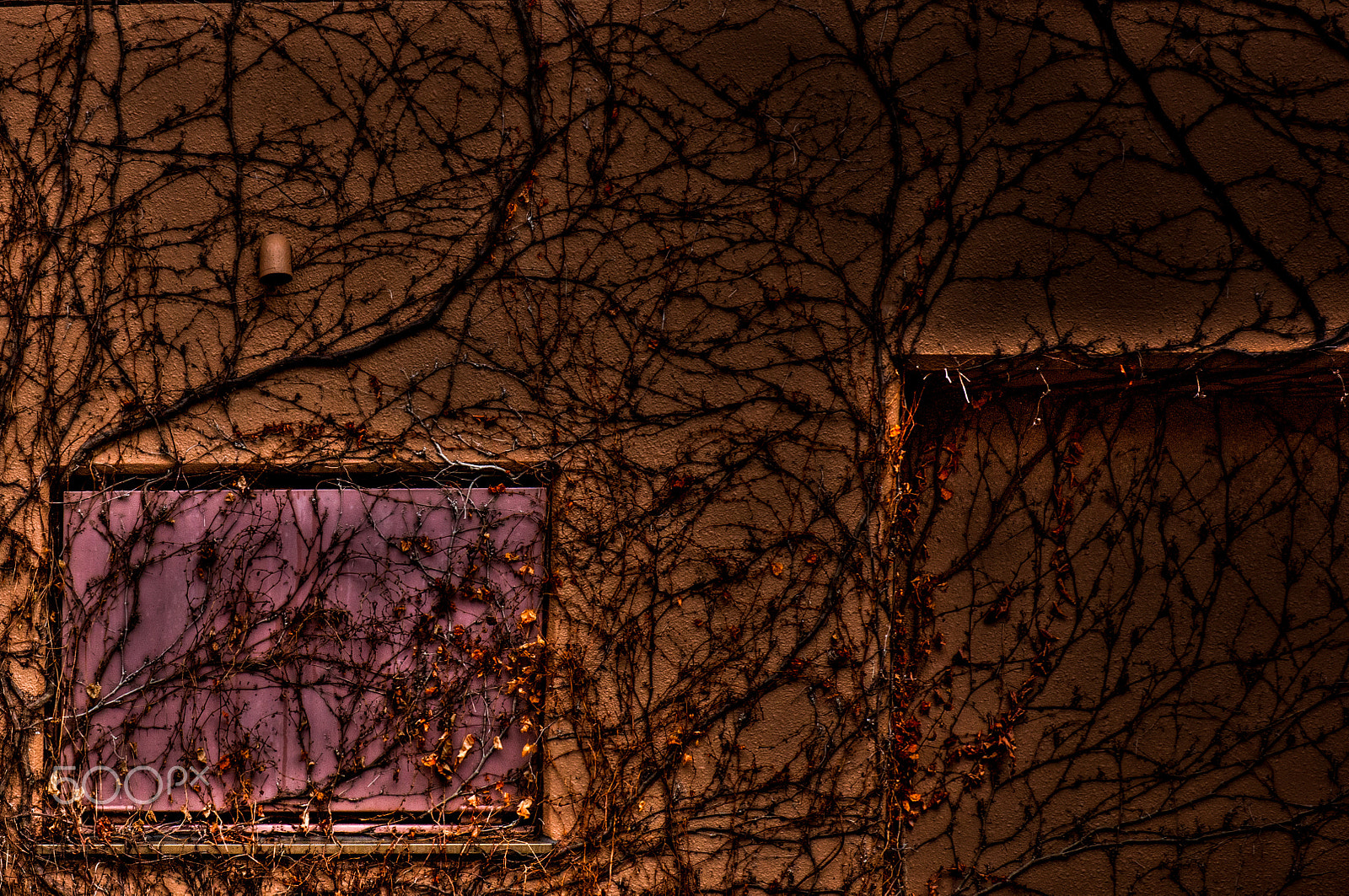 Tamron SP 70-300mm F4-5.6 Di USD sample photo. Struggle nature and archtecture photography