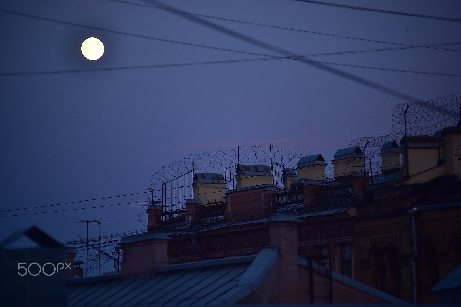 AF Zoom-Nikkor 80-200mm f/2.8 ED sample photo. Moonlight serenade photography
