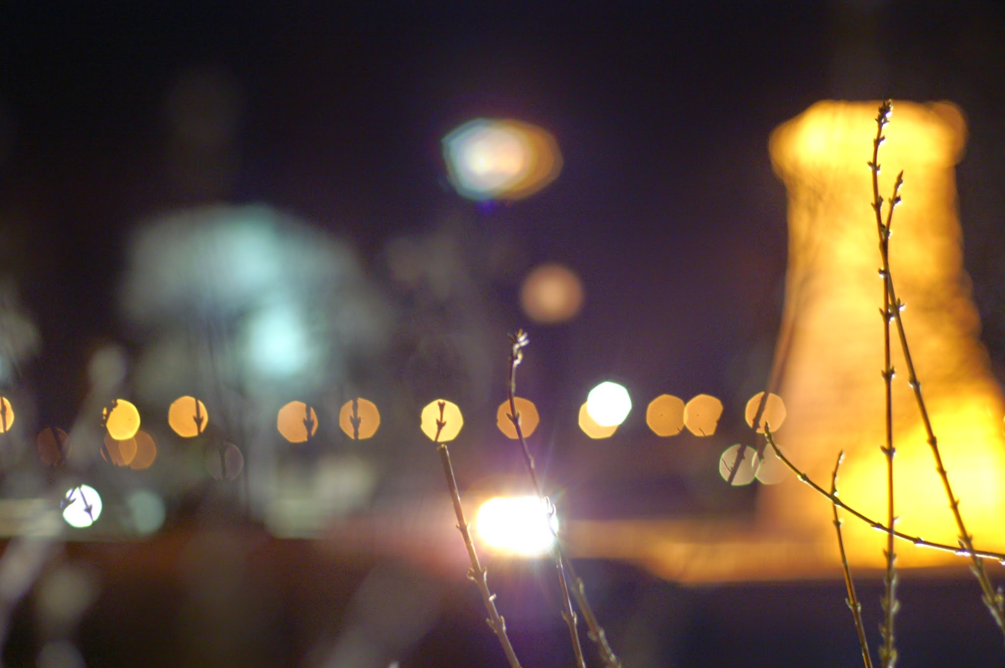 Minolta AF 50mm F1.4 [New] sample photo. Pict0237.jpg photography