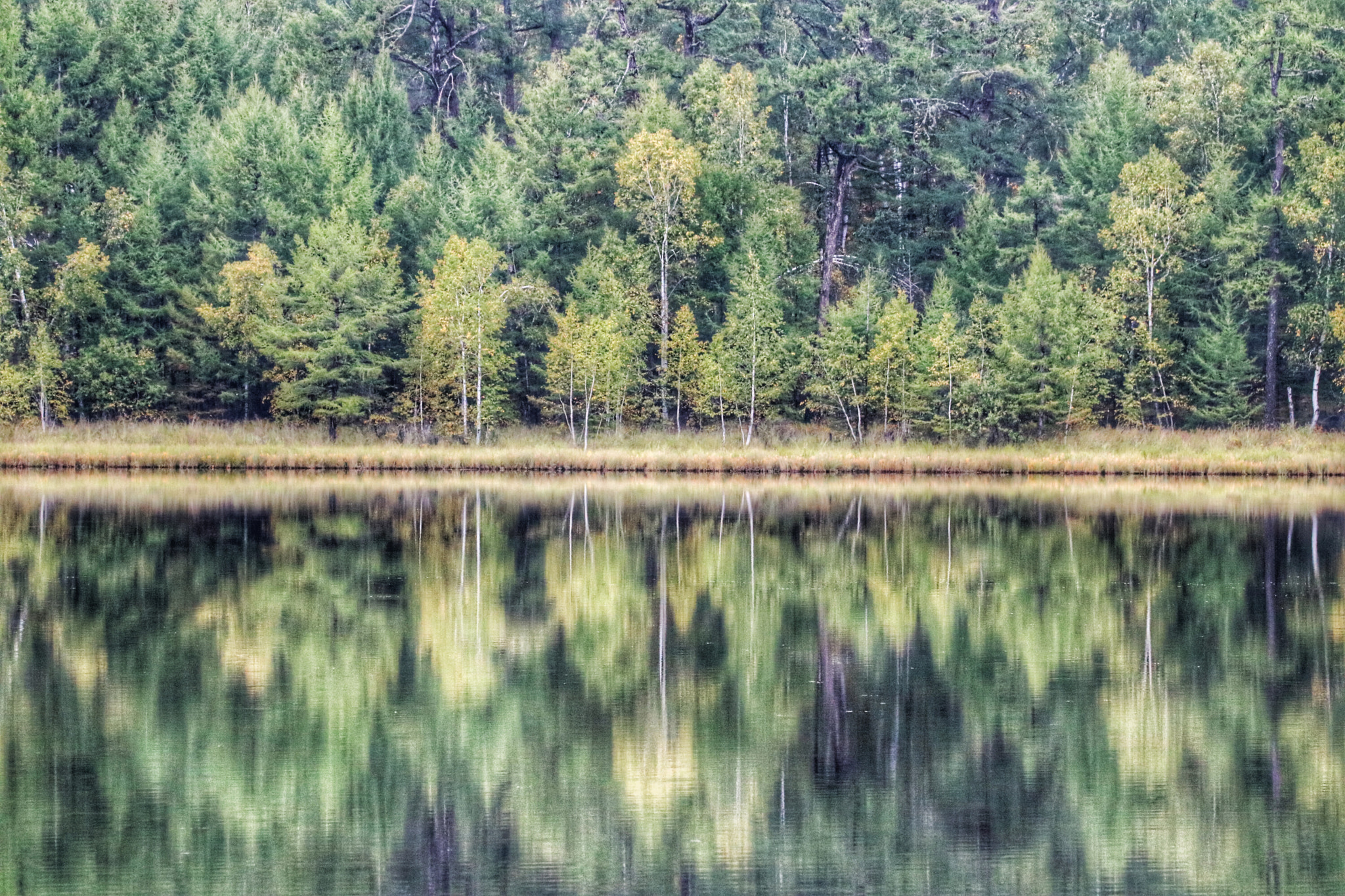 Tamron SP 150-600mm F5-6.3 Di VC USD sample photo. Landscape in the water photography