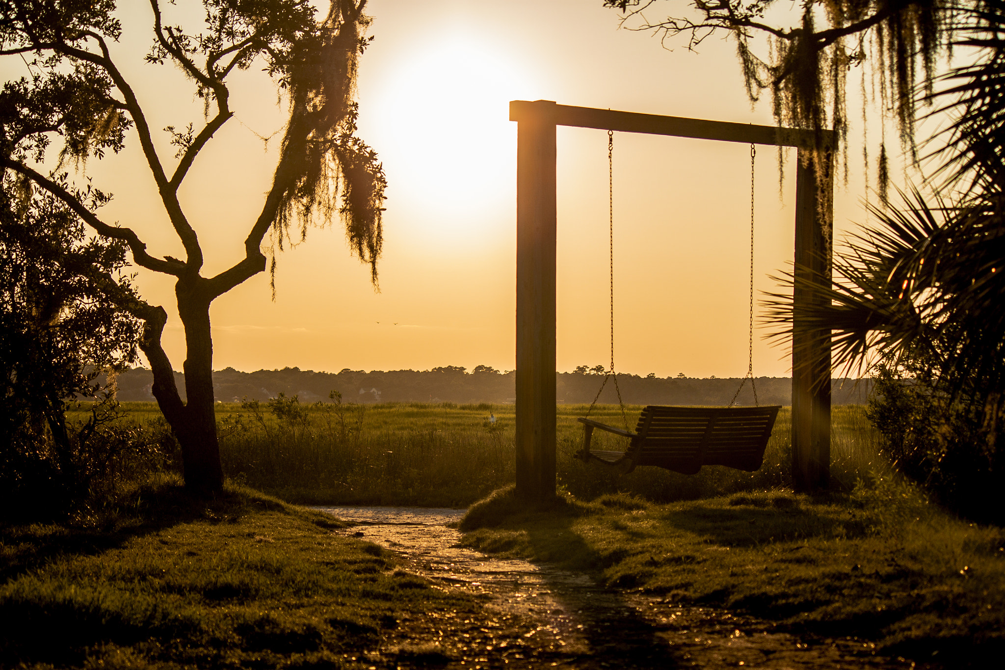 Canon EOS 500D (EOS Rebel T1i / EOS Kiss X3) sample photo. James island giving its best impression of an african savanna. photography