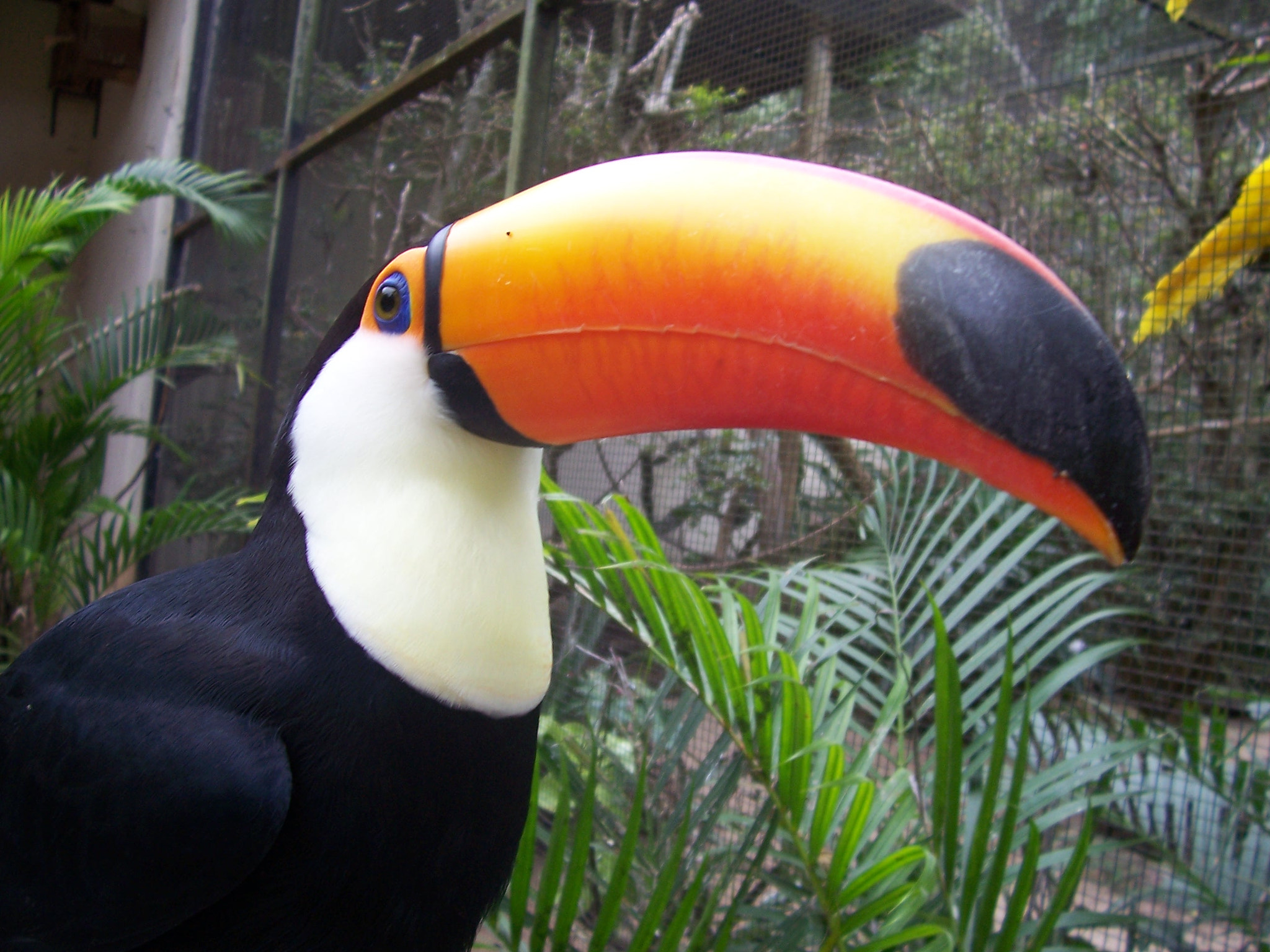 Kodak C360 ZOOM DIGITAL CAMERA sample photo. Tucano photography