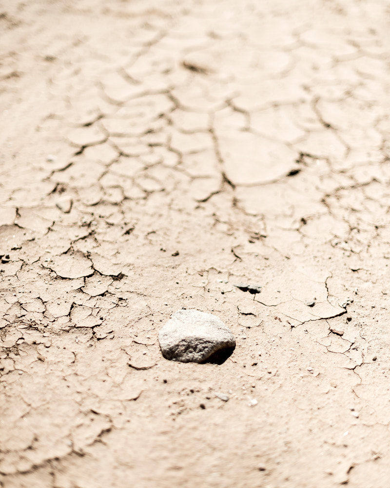 Nikon D4 + Nikon AF-S Nikkor 50mm F1.4G sample photo. Dried desert sand photography