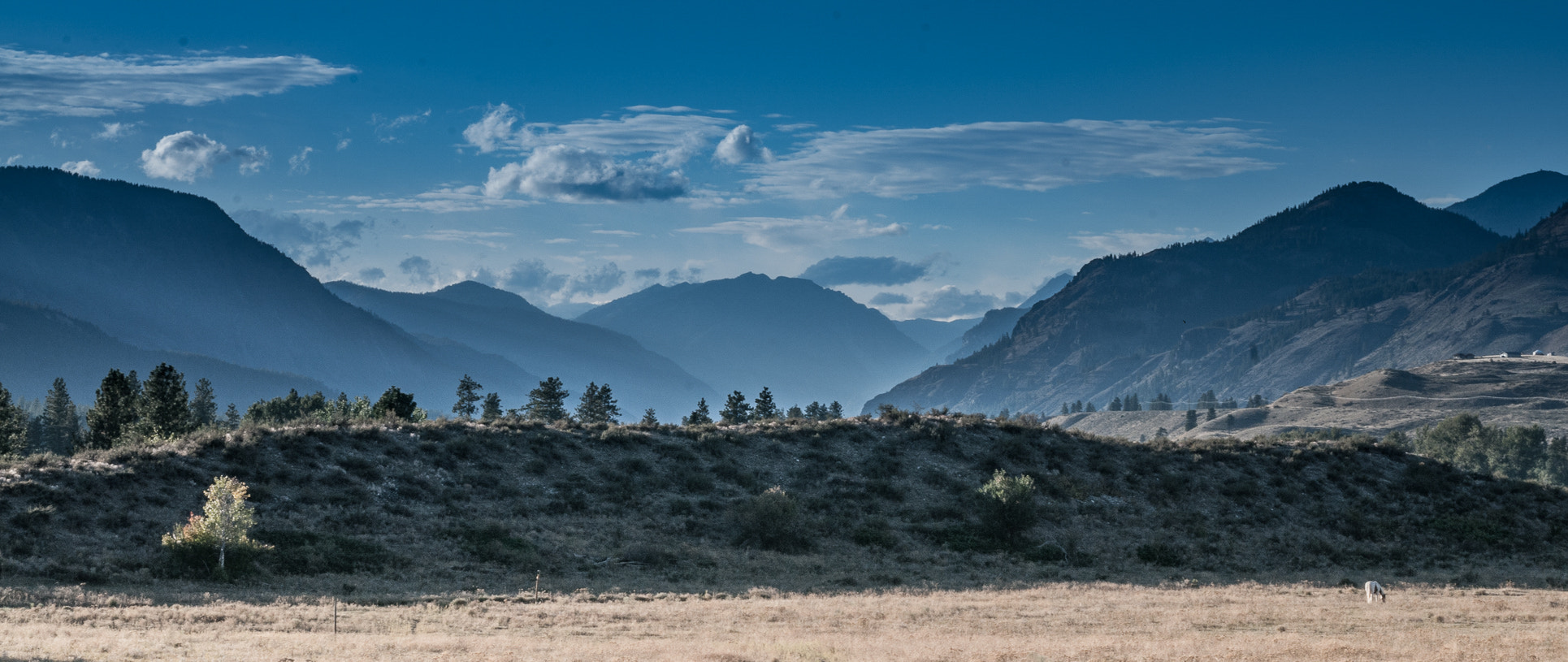 Nikon D300 sample photo. Methow valley photography