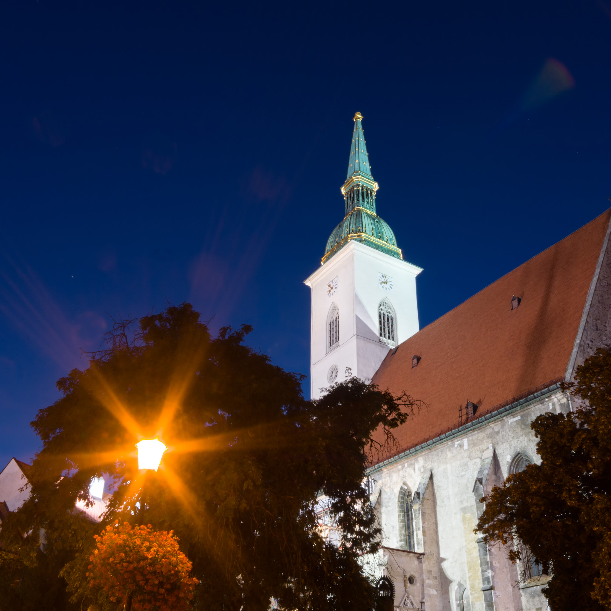 Sony a6000 + Sigma 10-20mm F4-5.6 EX DC HSM sample photo. St. martin's cathedral photography