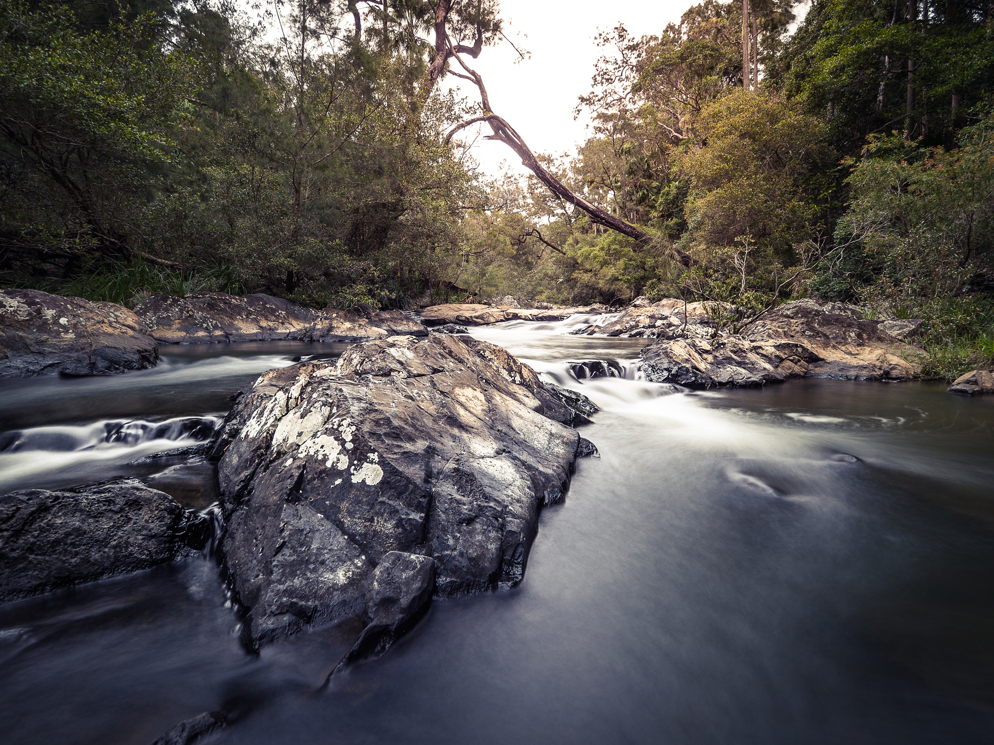 Olympus OM-D E-M10 II + OLYMPUS M.9-18mm F4.0-5.6 sample photo. Eungalla streams photography