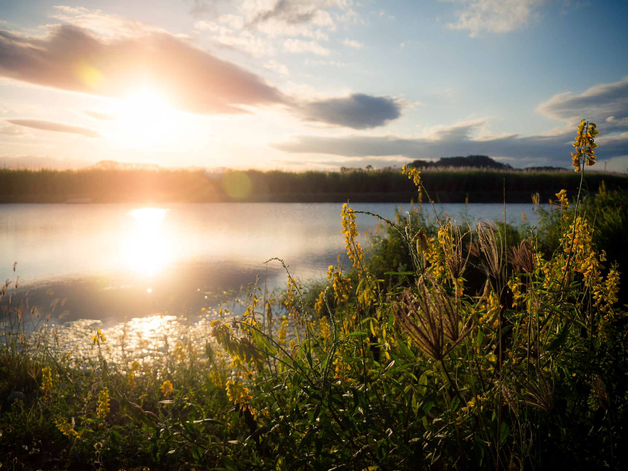 OLYMPUS M.14-150mm F4.0-5.6 II sample photo. Catchment sunset photography