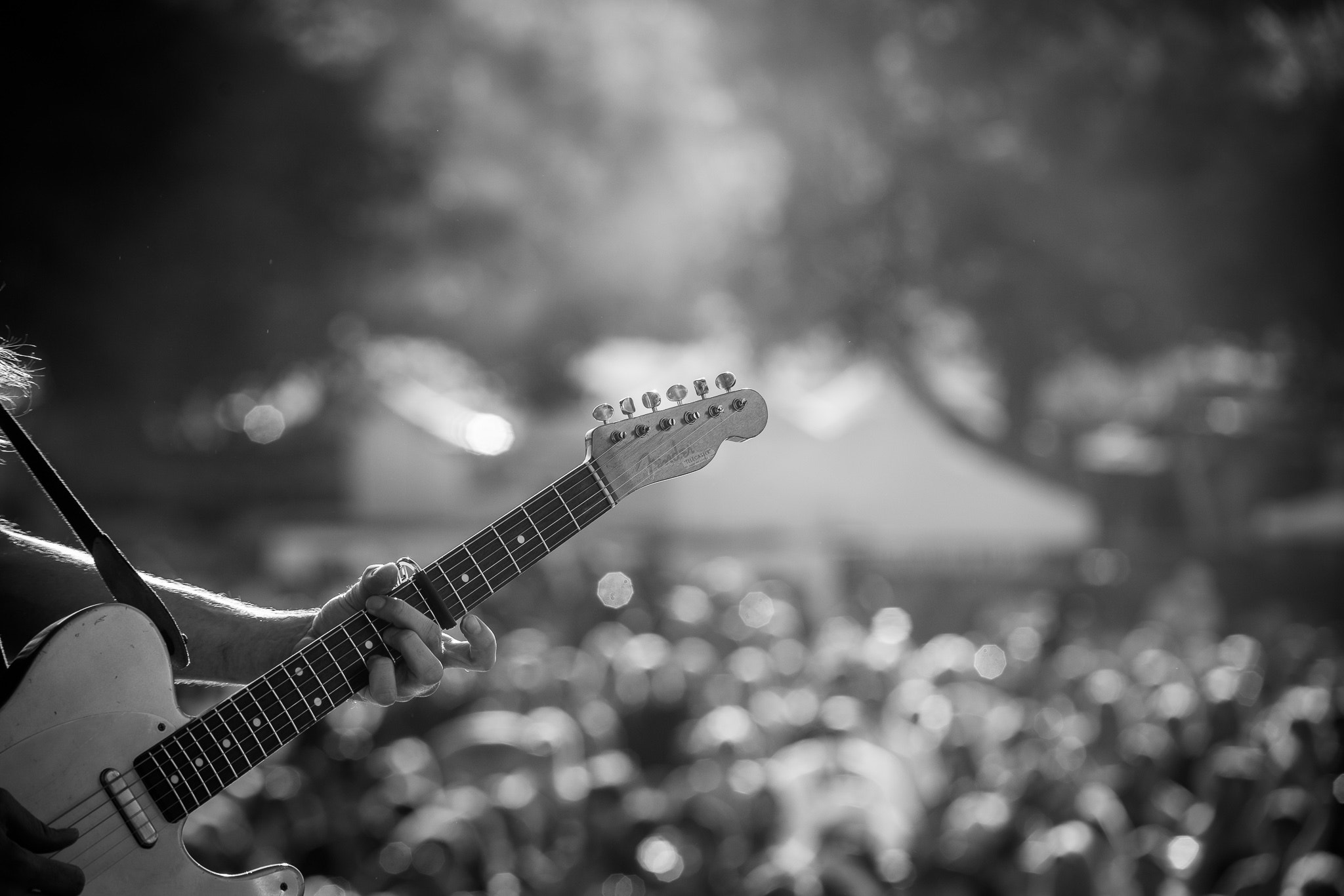 AF Zoom-Nikkor 80-200mm f/2.8 ED sample photo. Fender tele photography