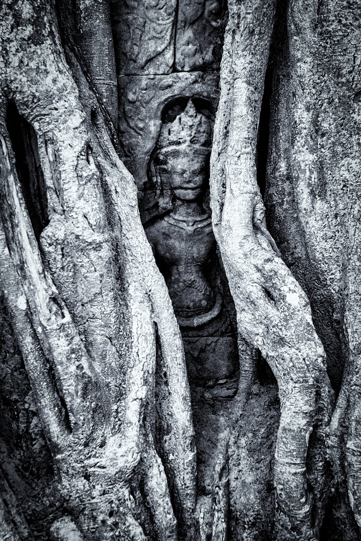 Canon EOS 550D (EOS Rebel T2i / EOS Kiss X4) + Canon EF 17-40mm F4L USM sample photo. Buddha statue nearly interwined by roots photography