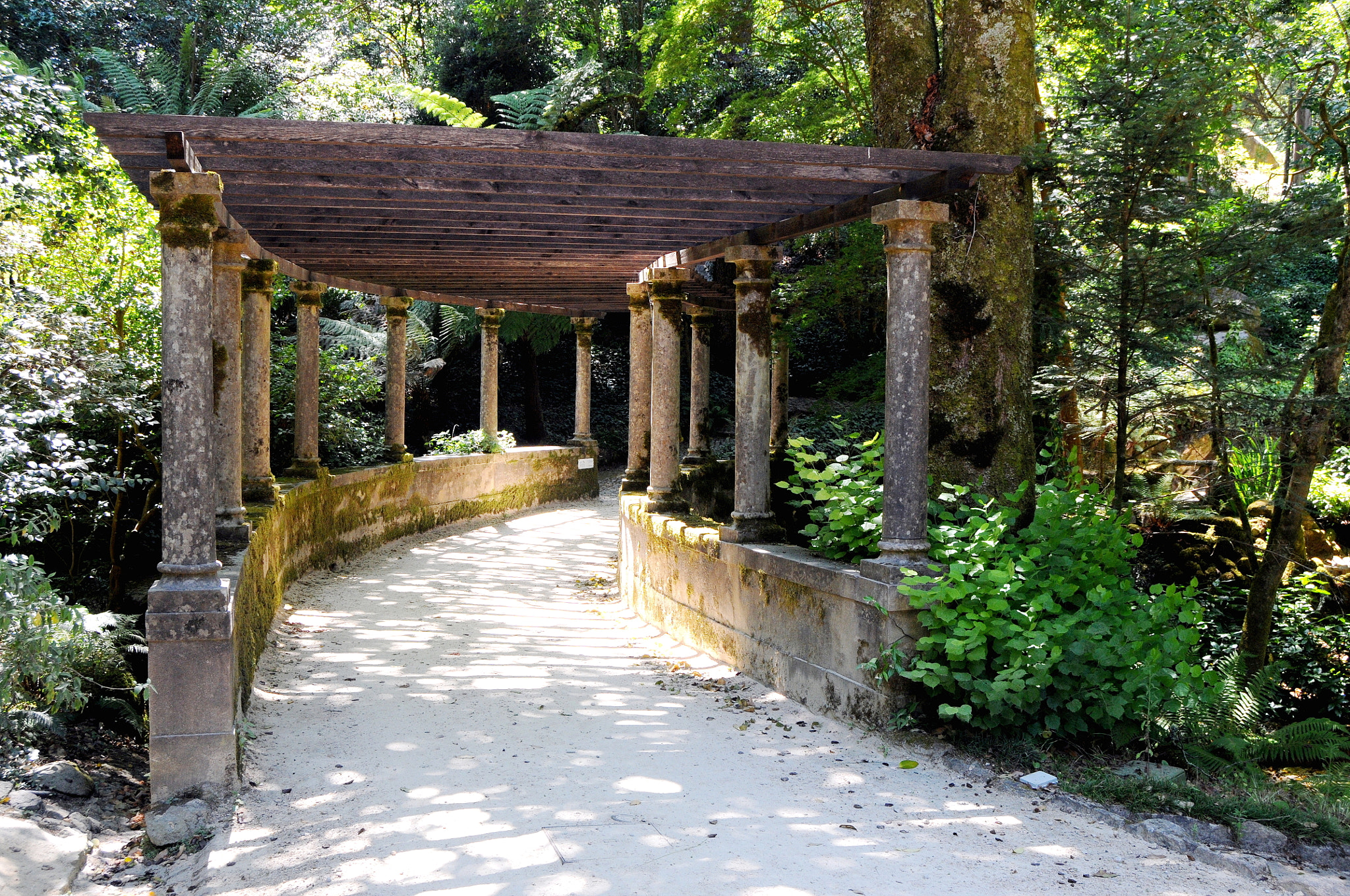 Nikon D300 sample photo. Pena park bridge at sunligth photography