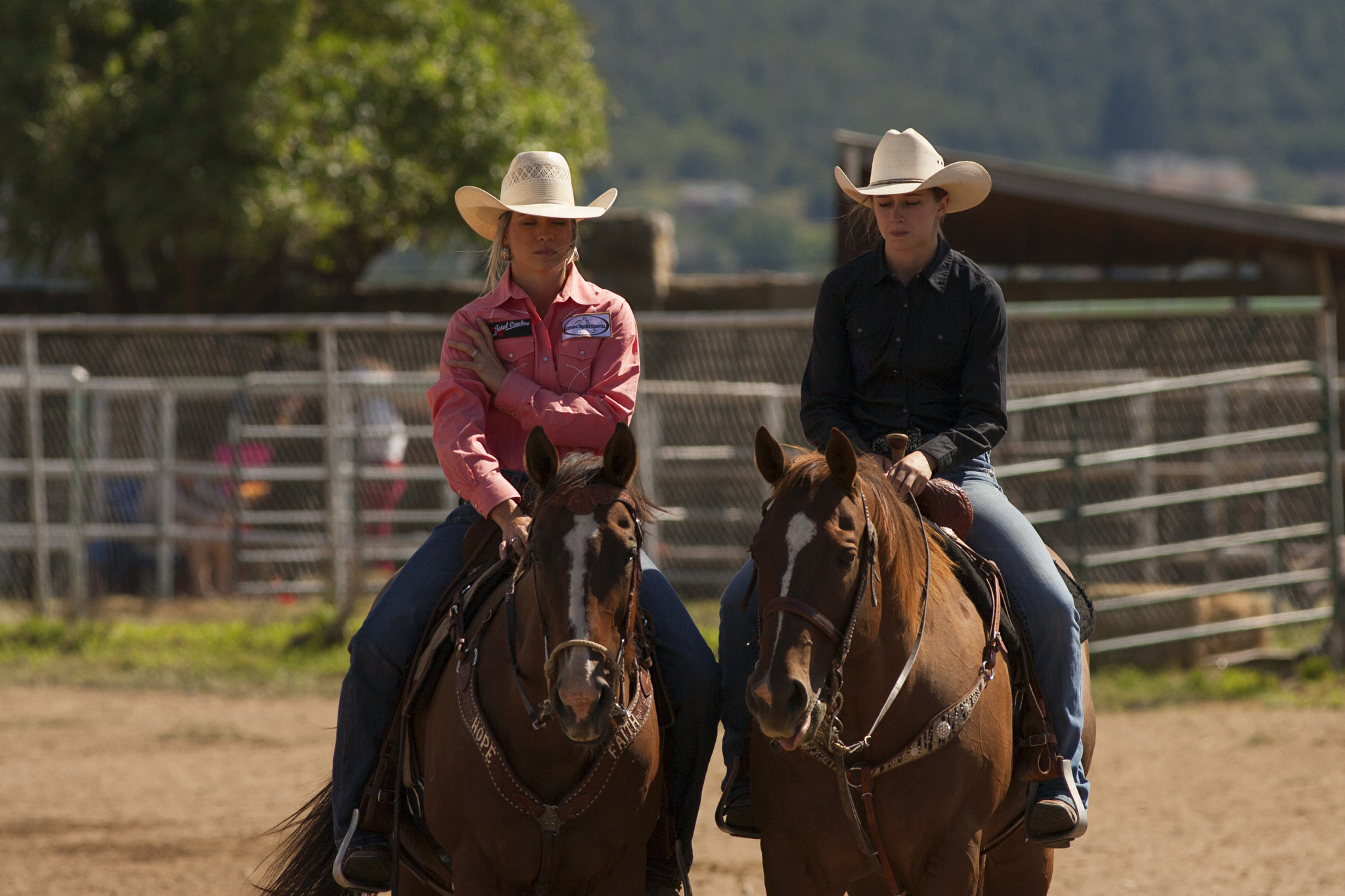 Canon EOS-1D Mark II N sample photo. Cow girls photography