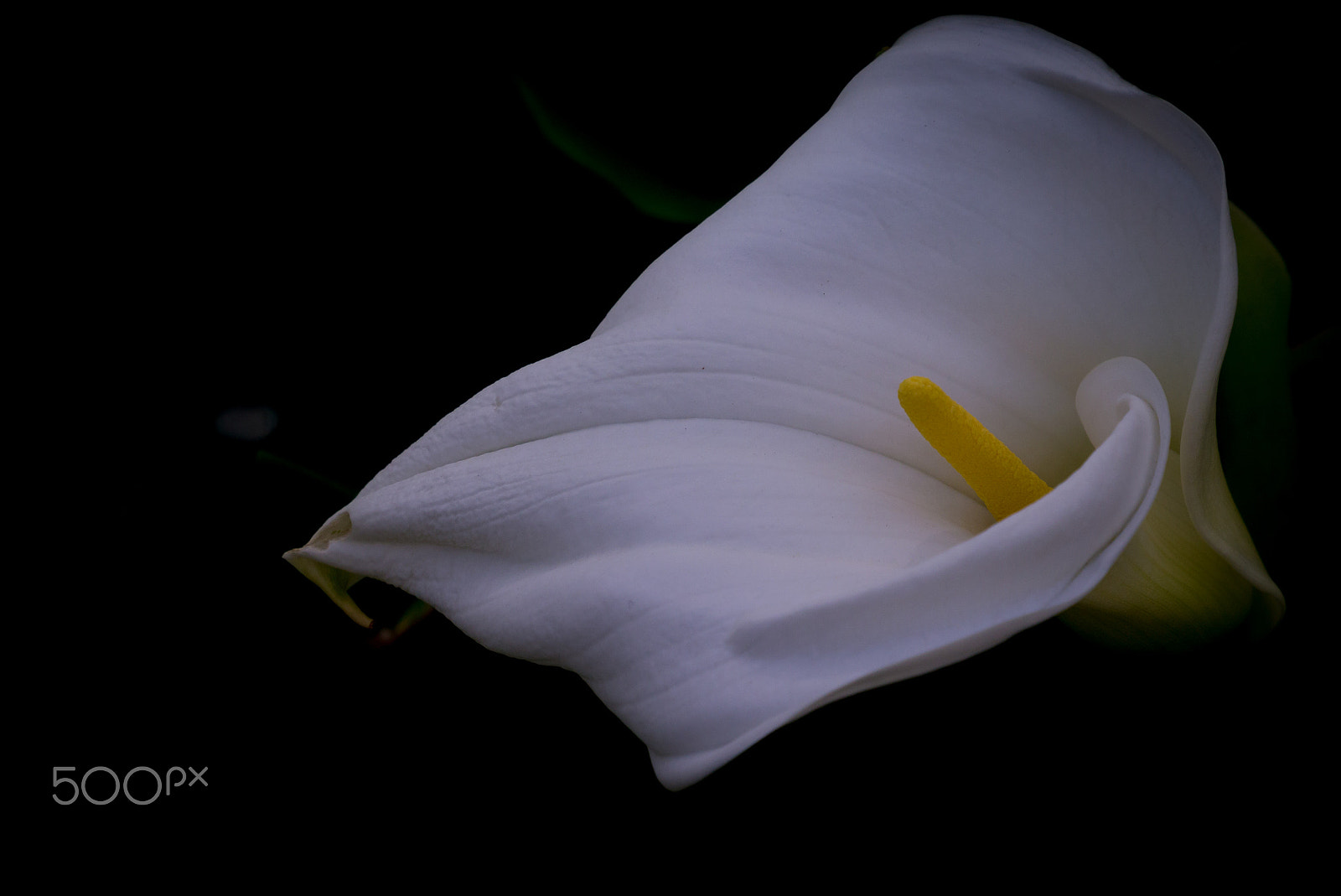 Panasonic Lumix DMC-GX1 sample photo. Short trip photography