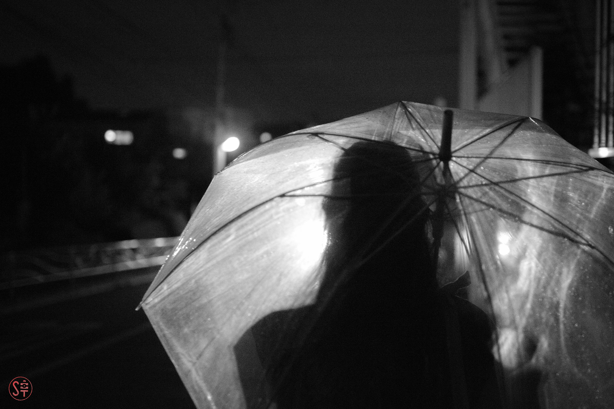 Sigma 30mm F1.4 EX DC HSM sample photo. Rainy day photography