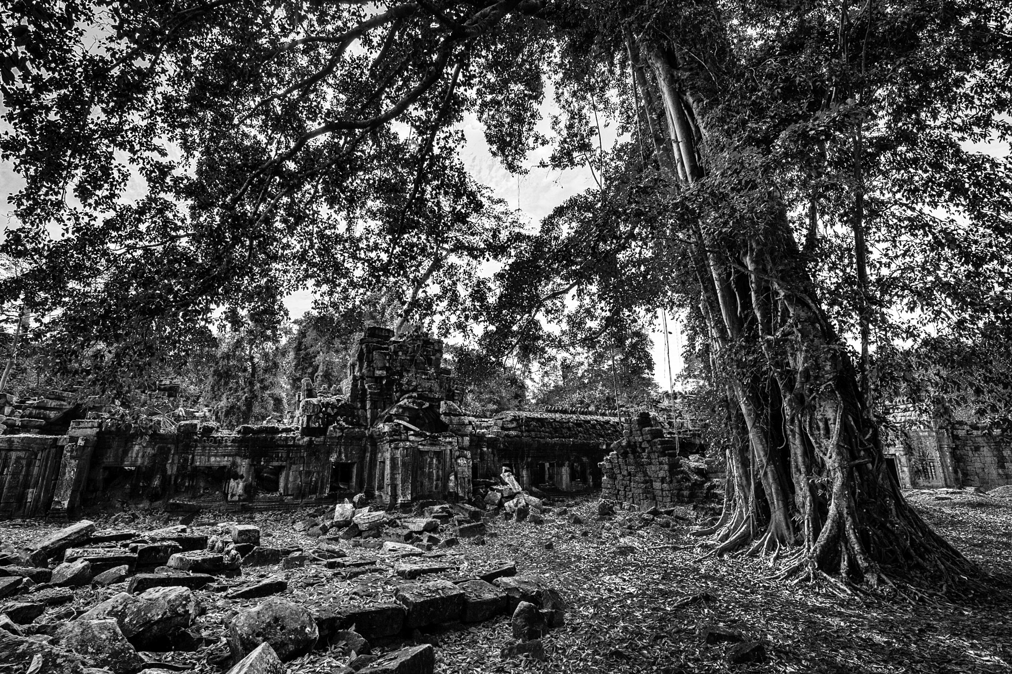 Canon TS-E 17mm F4L Tilt-Shift sample photo. Ta prohm temple photography