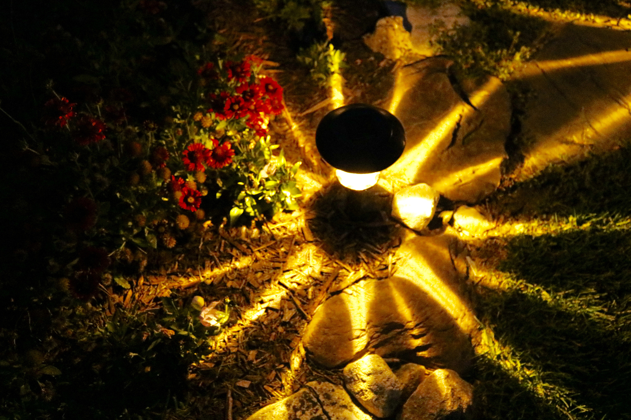 Canon EOS 760D (EOS Rebel T6s / EOS 8000D) sample photo. A solar lamp on the side of the walk sending a starlight pattern out around it. photography