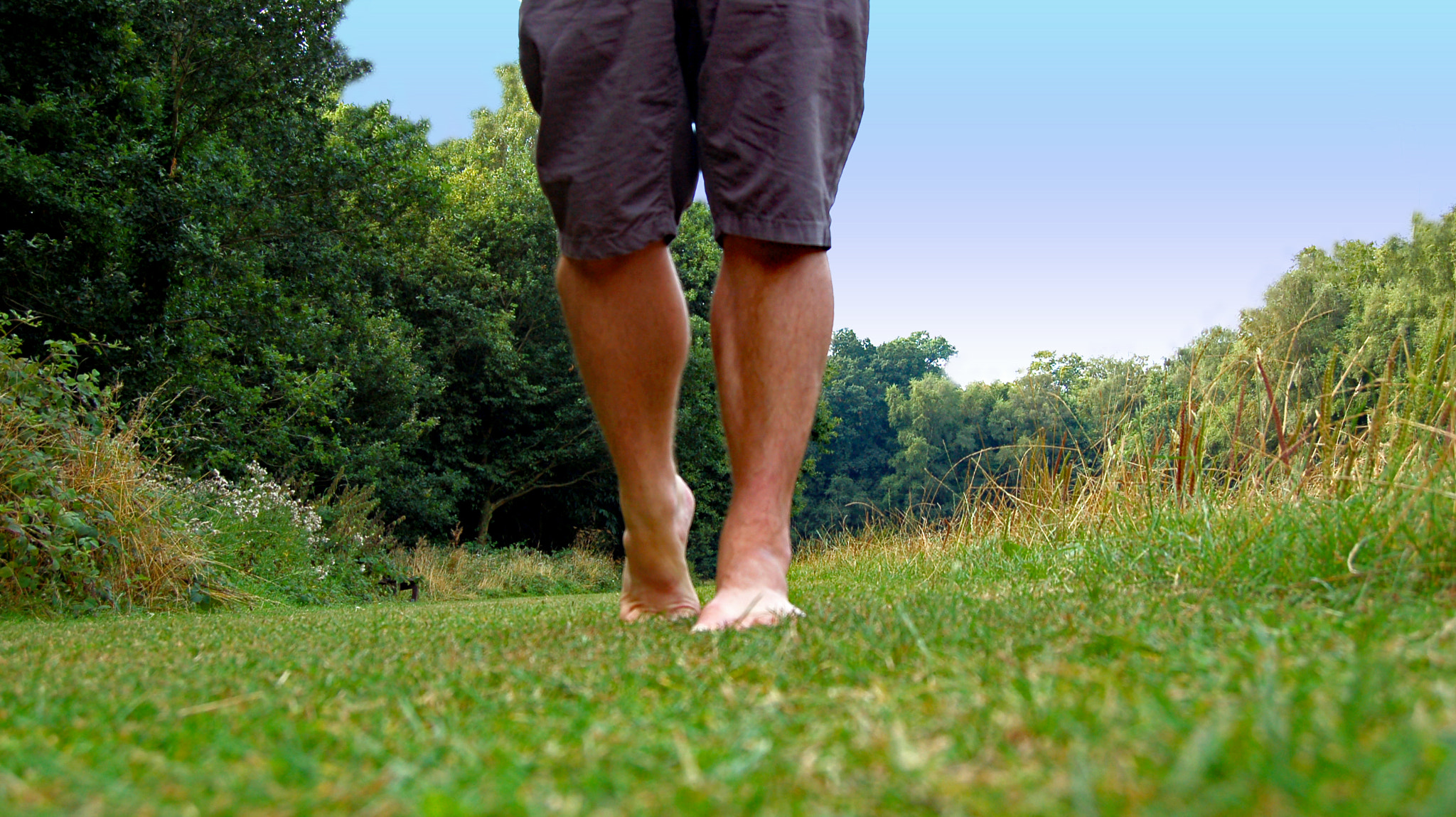 Nikon D50 sample photo. Enjoying the sun photography
