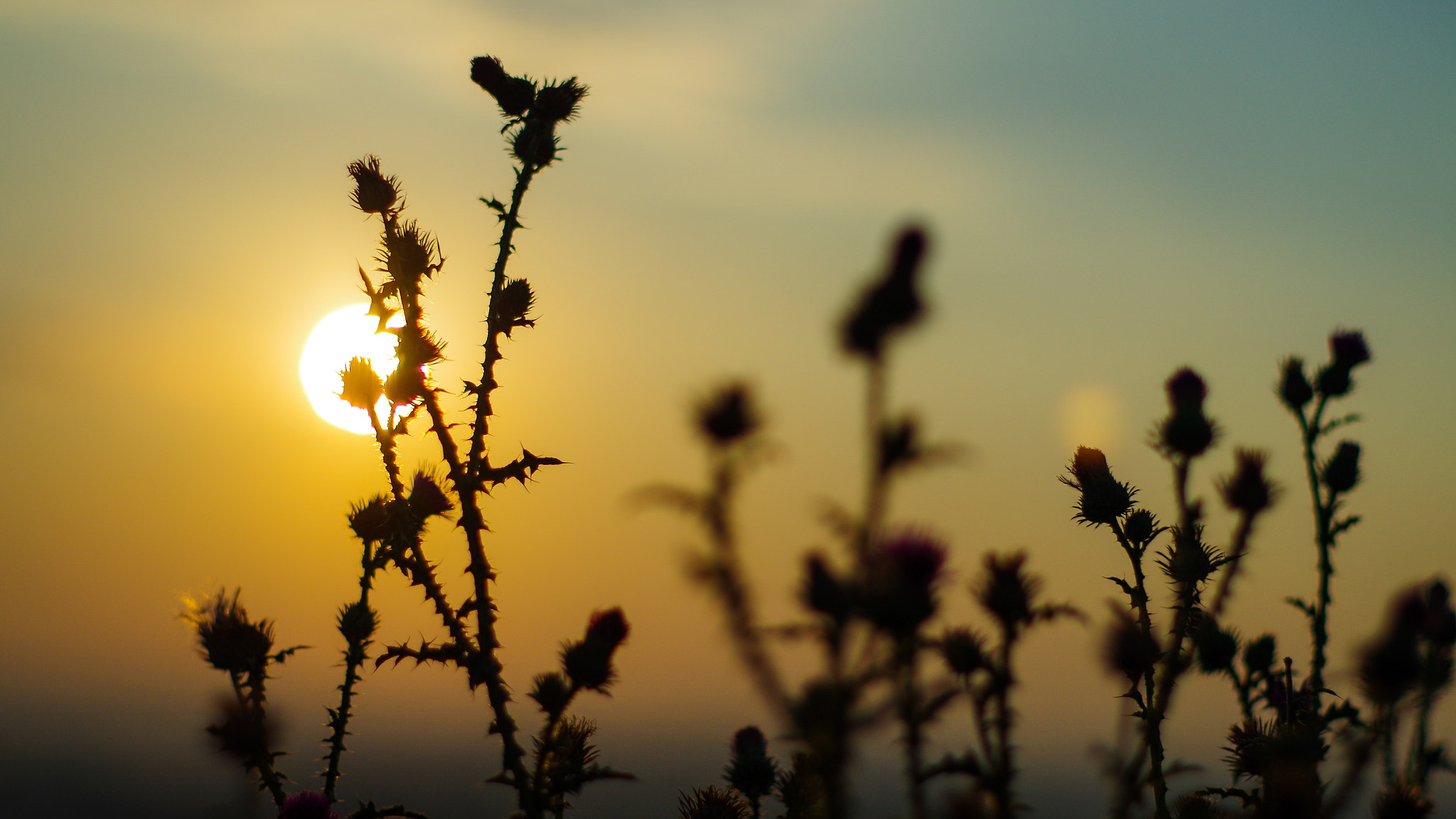 Pentax K-30 sample photo. Colours of morning photography