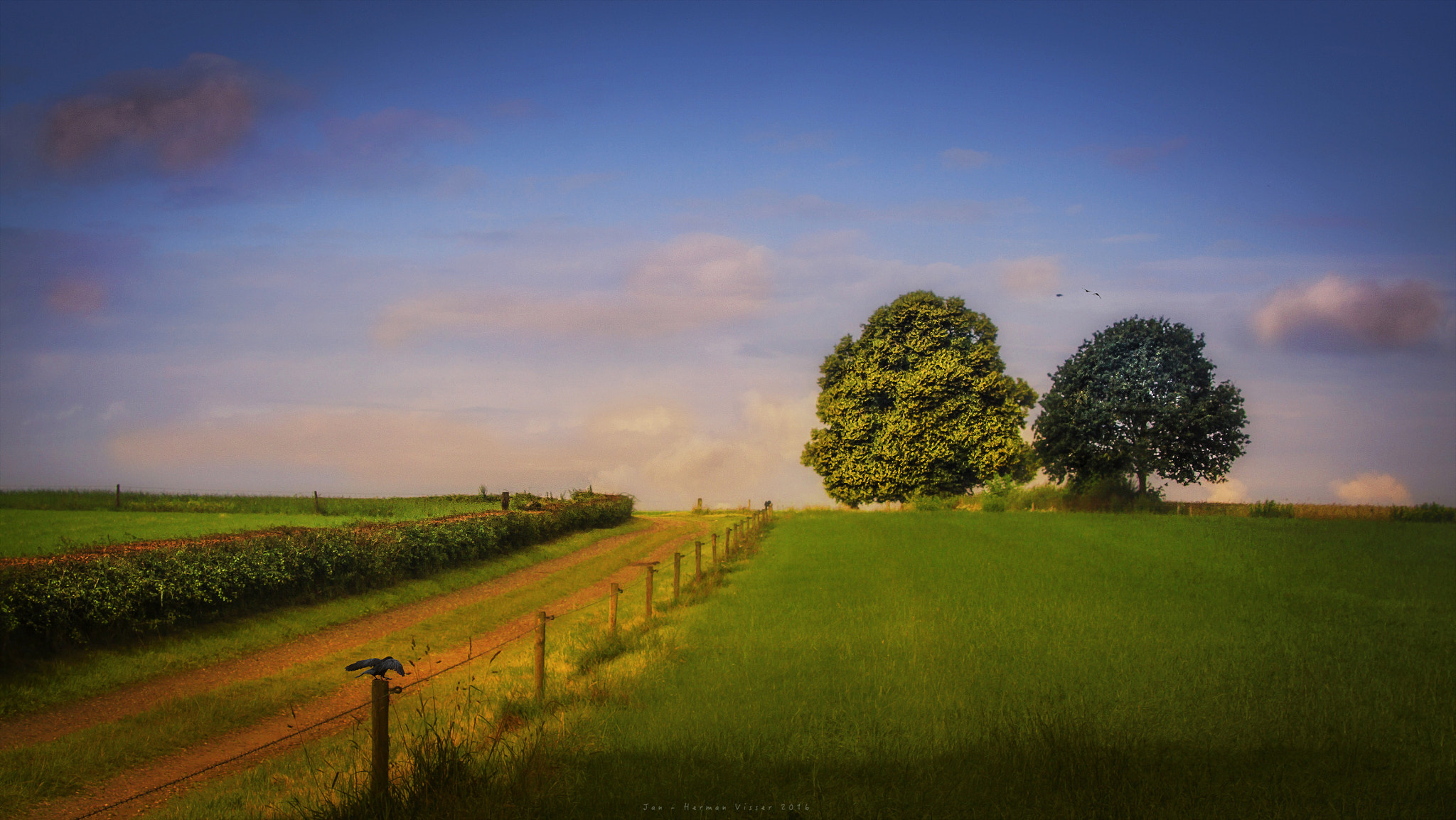 Canon EF 50-200mm f/3.5-4.5 sample photo. View with a smile... photography