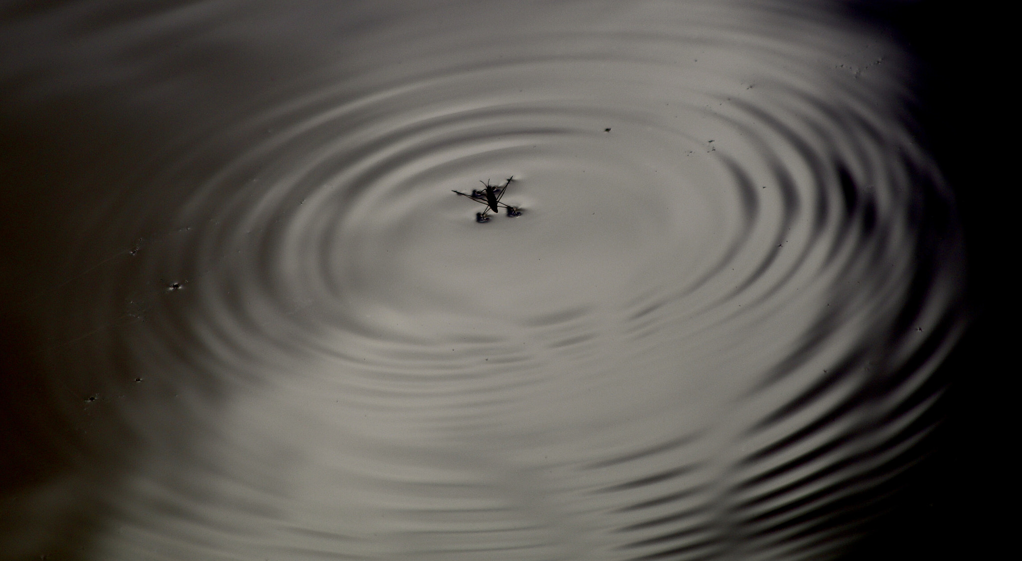 Canon EF 70-300mm F4-5.6 IS USM sample photo. Ripples photography