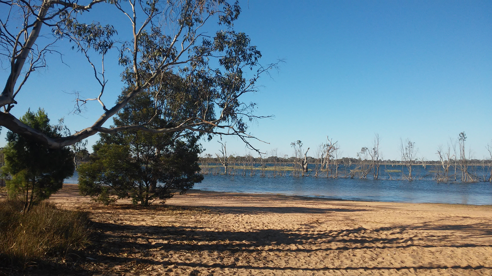 LG G2 MINI sample photo