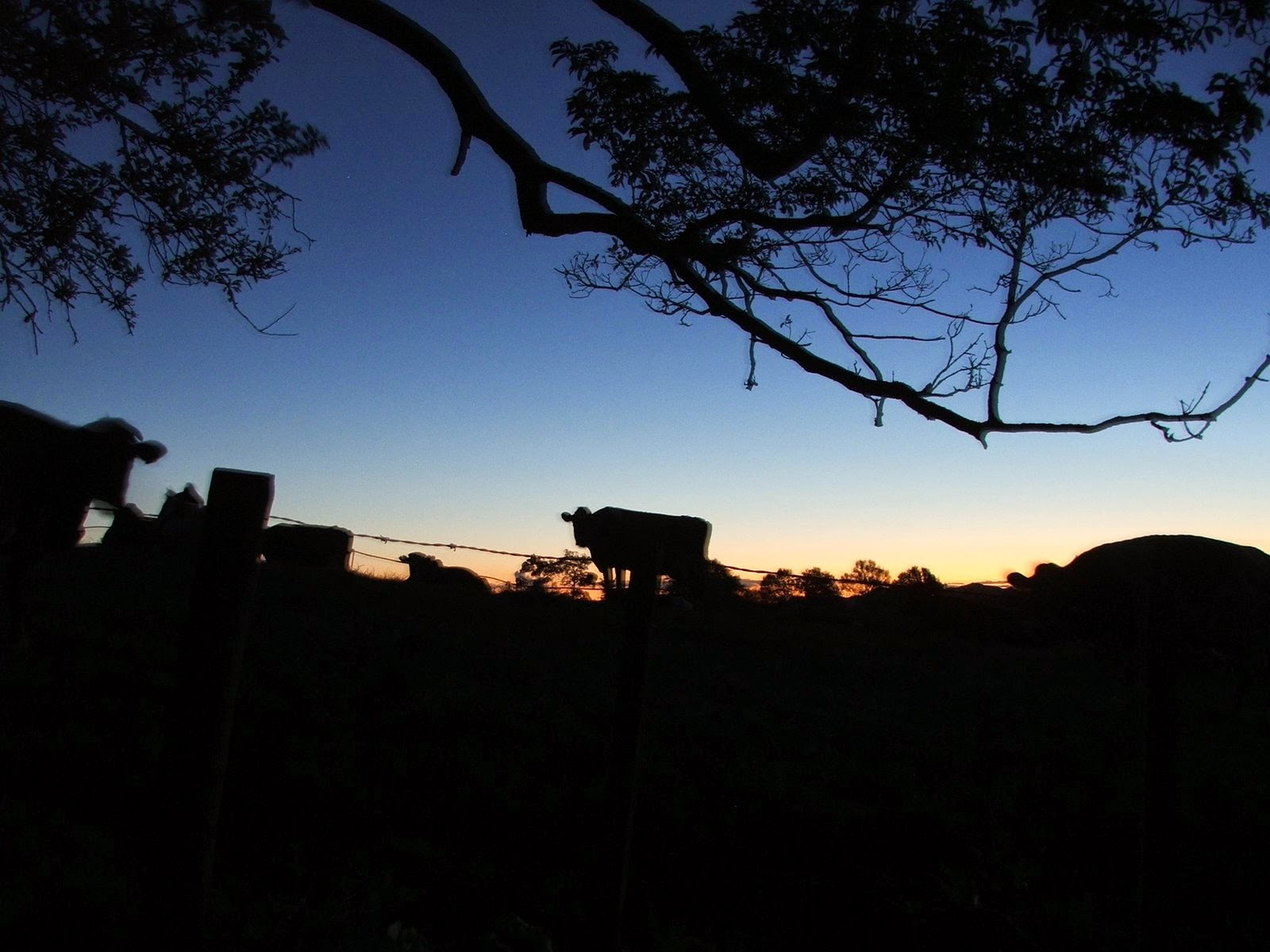 Fujifilm FinePix S5500 sample photo. Farm at dusk photography