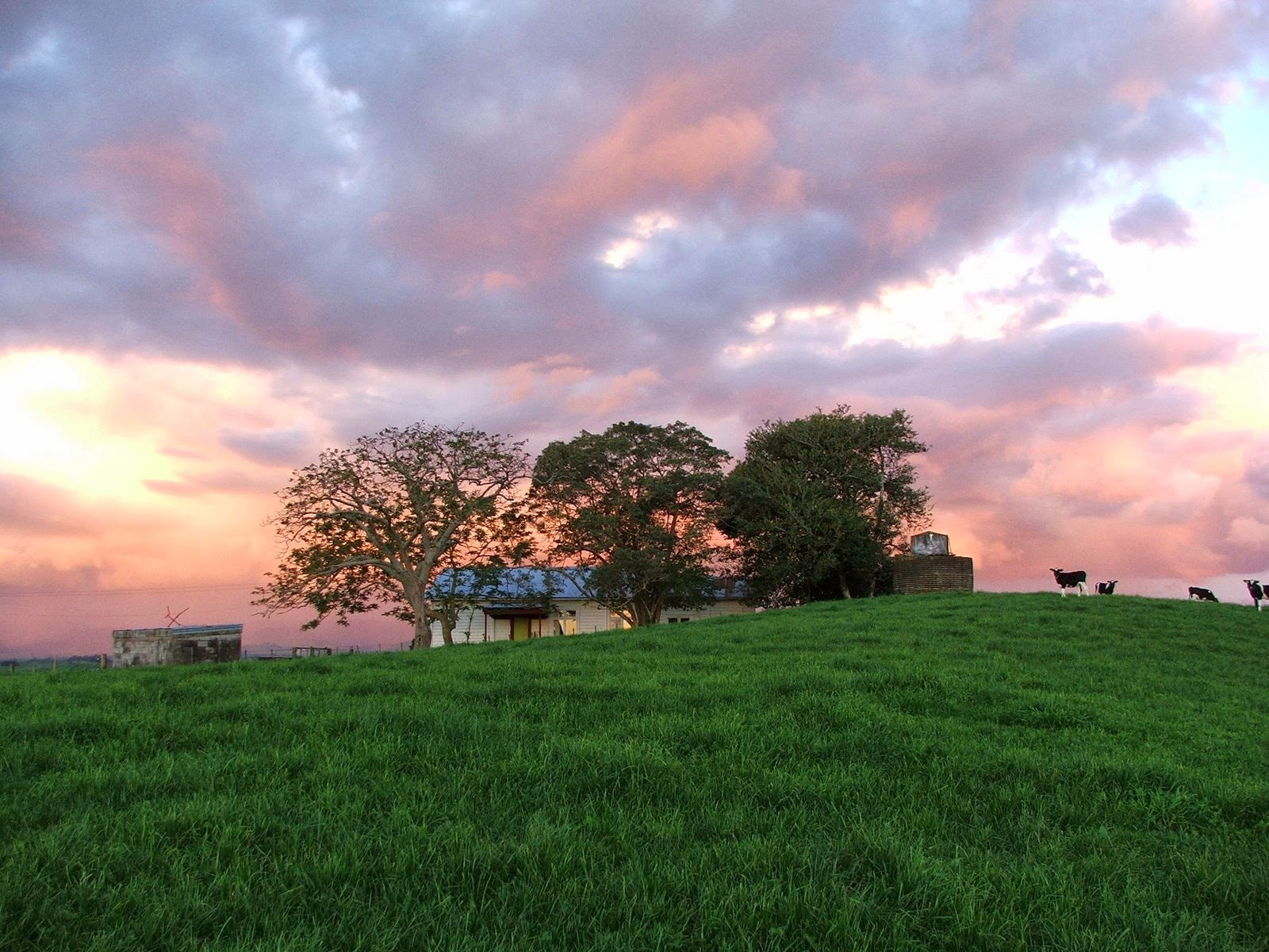 Fujifilm FinePix S5500 sample photo. Evening sky photography