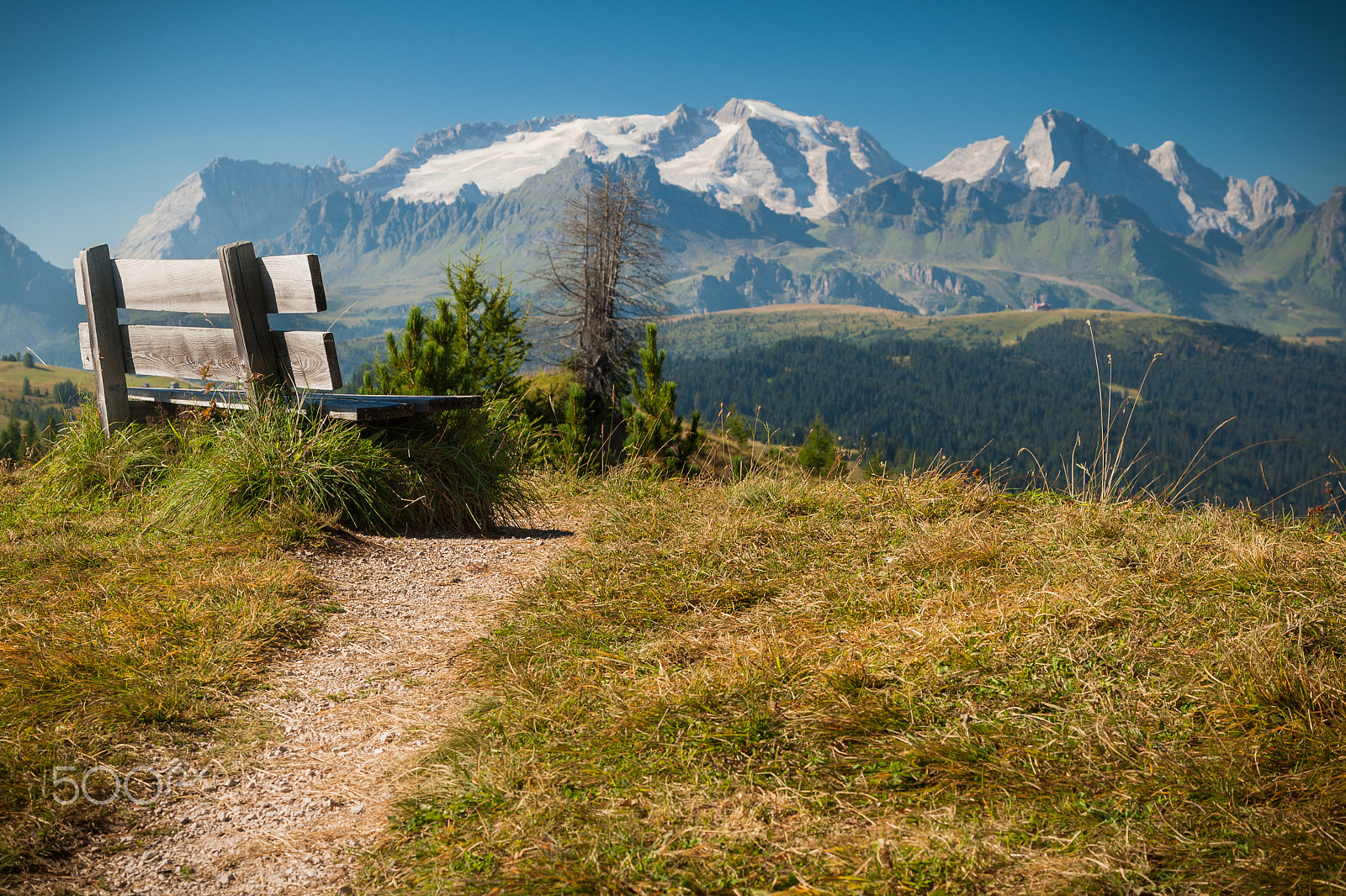 Canon EOS-1D Mark III sample photo. Front row seat photography