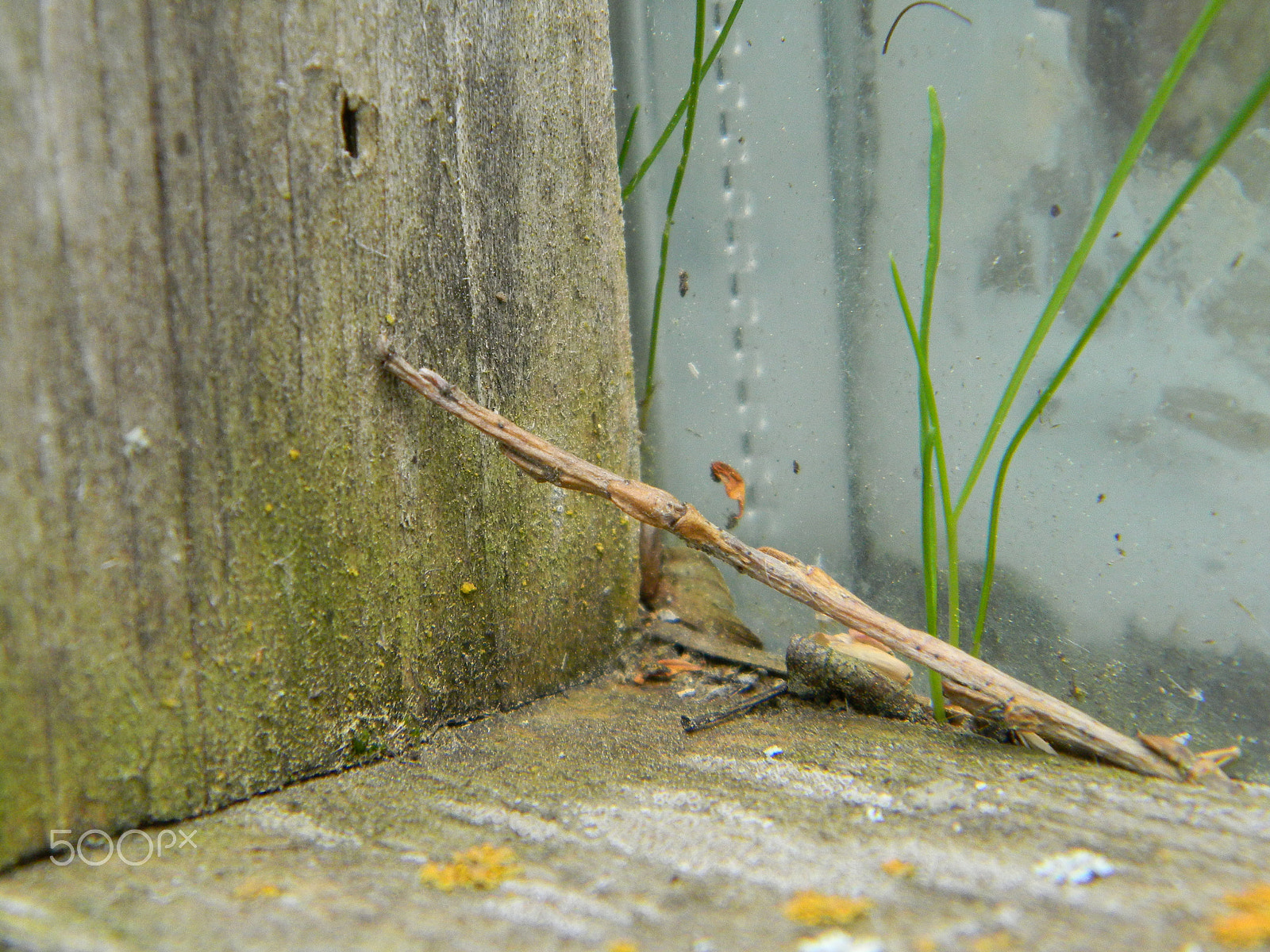 Nikon COOLPIX L105 sample photo. Playhouse windowsill photography