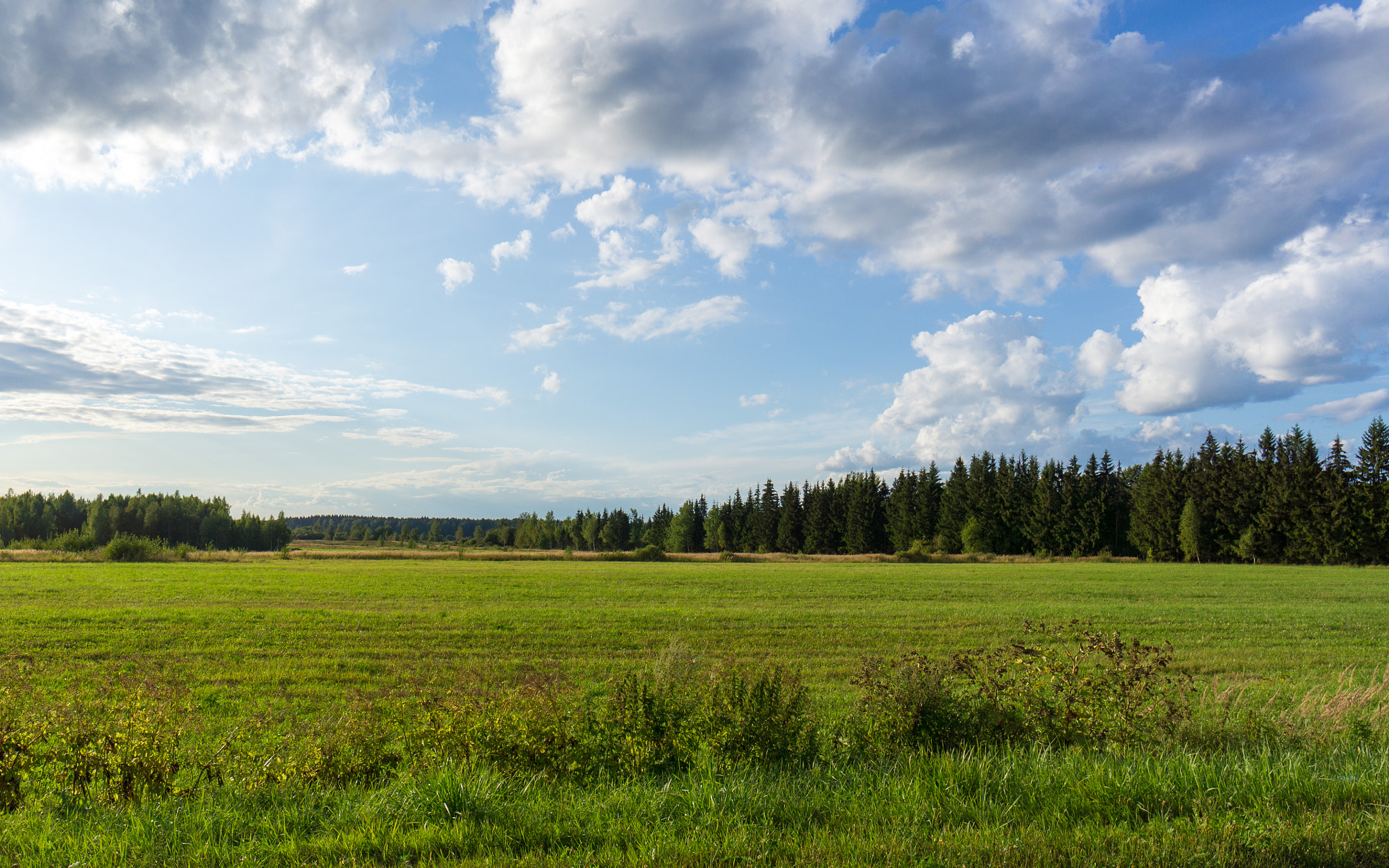 Sony Alpha NEX-5N + Sony E 10-18mm F4 OSS sample photo. *** photography