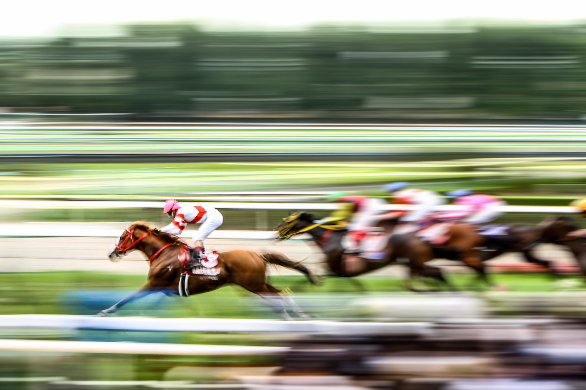 Canon EF 70-200mm F2.8L USM sample photo. Horse race photography