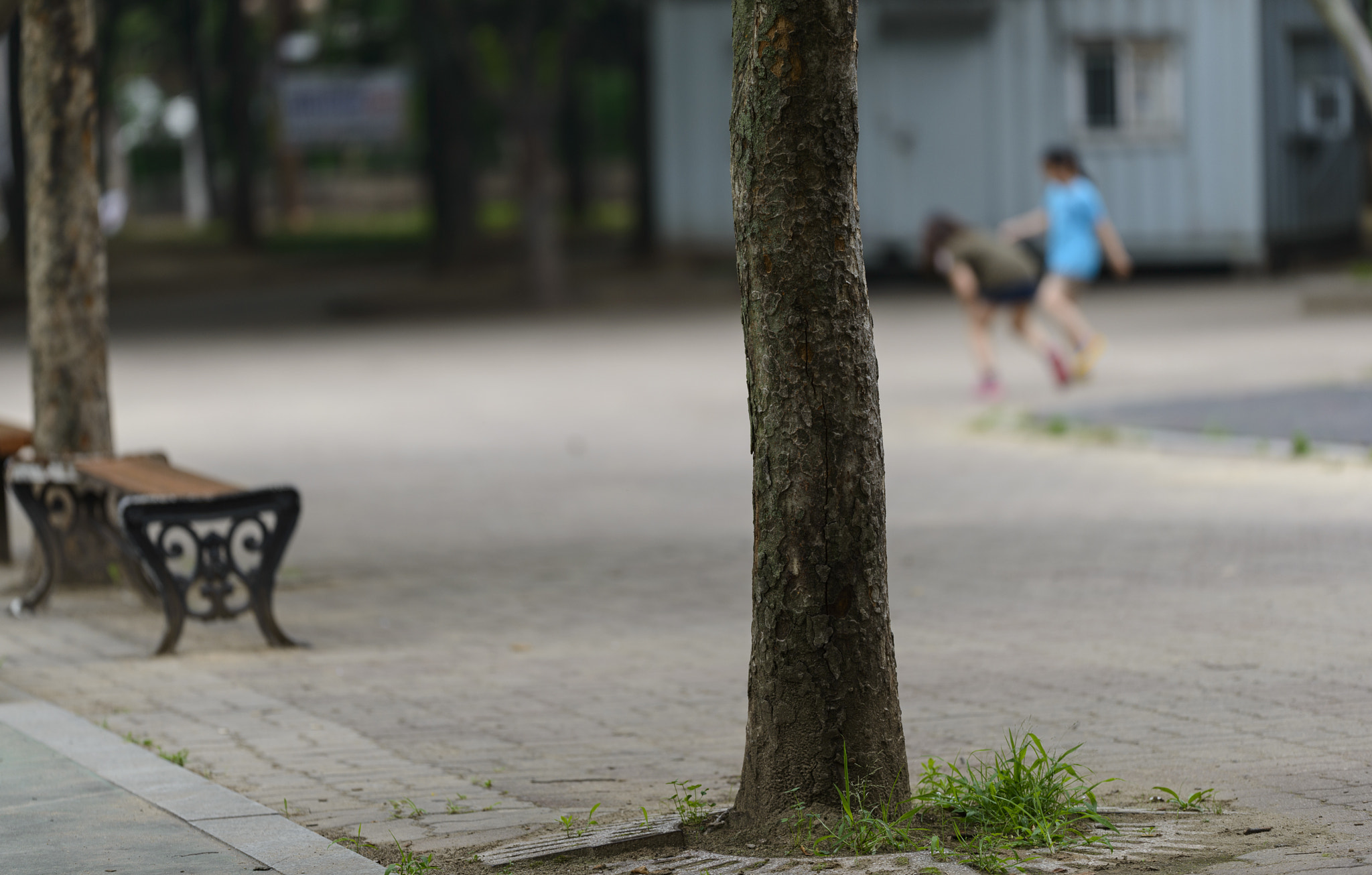 Sigma 150mm F2.8 EX DG OS Macro HSM sample photo. Playground photography