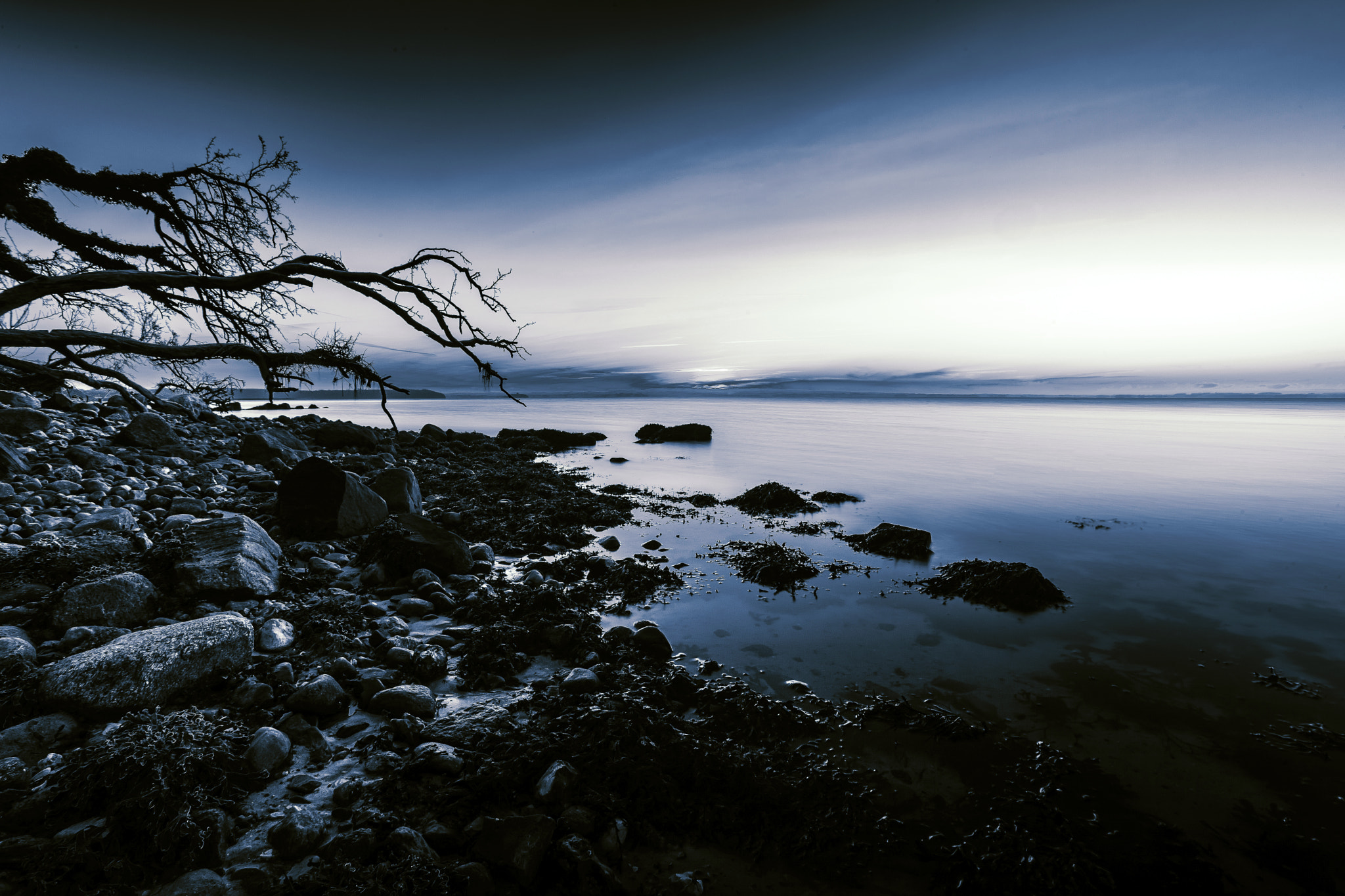 Canon EOS-1Ds Mark III sample photo. Pic no 2 photography