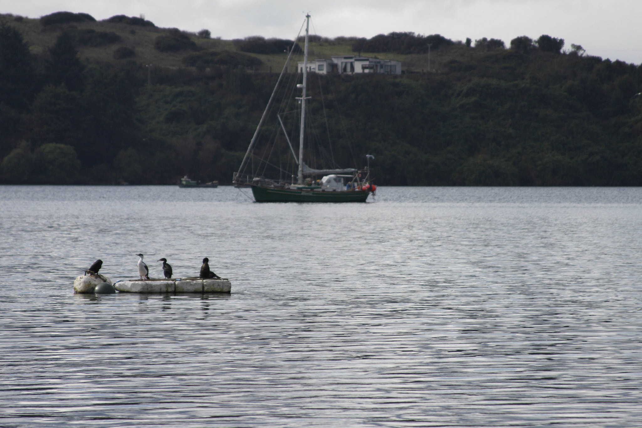 Canon EF 28-135mm F3.5-5.6 IS USM sample photo. Sailing photography