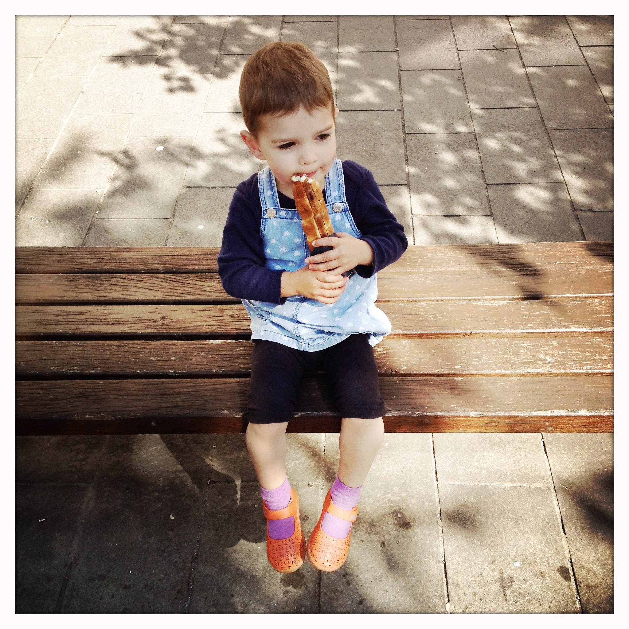 Hipstamatic 314 sample photo. Covridog forever photography