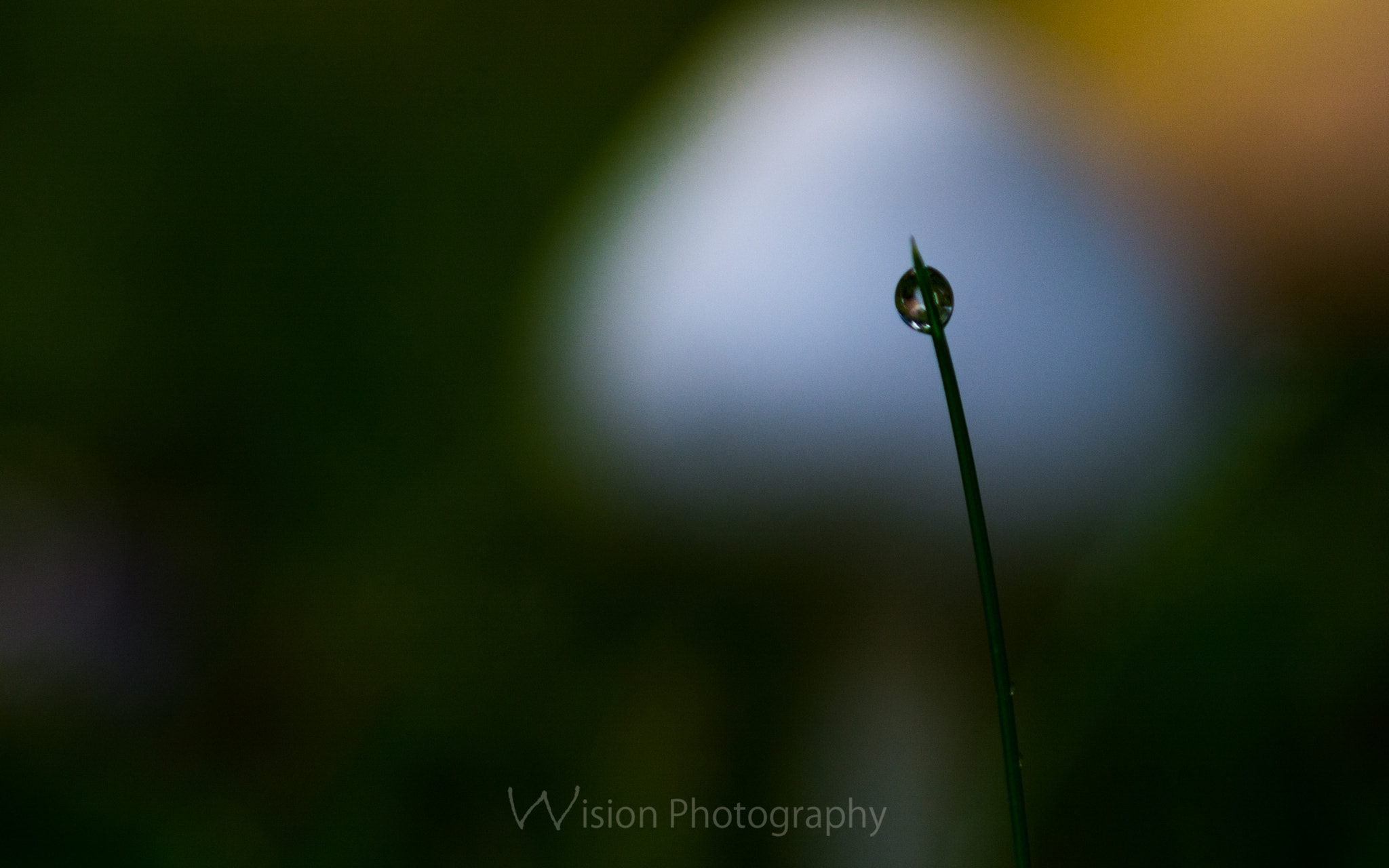 Sigma 150mm F2.8 EX DG Macro HSM sample photo. Autumns tear photography