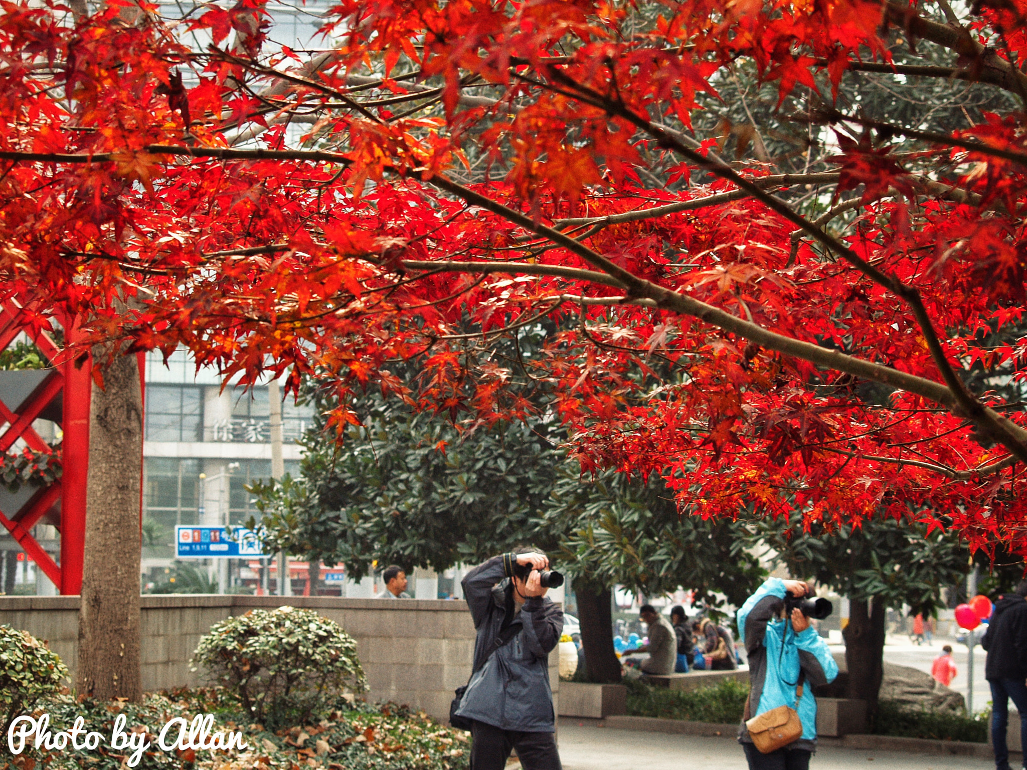 Olympus Zuiko Digital 40-150mm F3.5-4.5 sample photo. Shutterbug photography