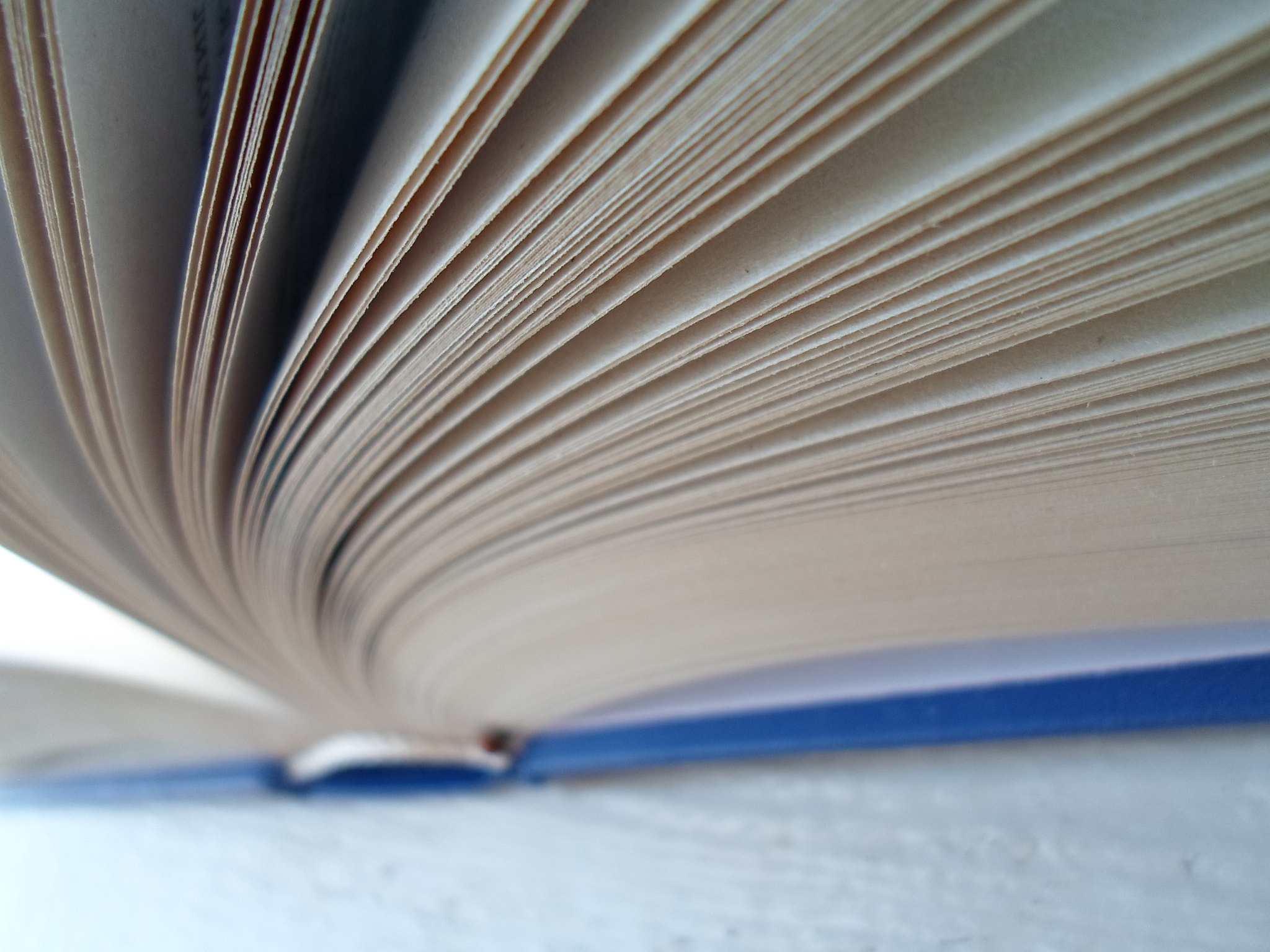 Samsung ST66 / ST68 sample photo. Book photography