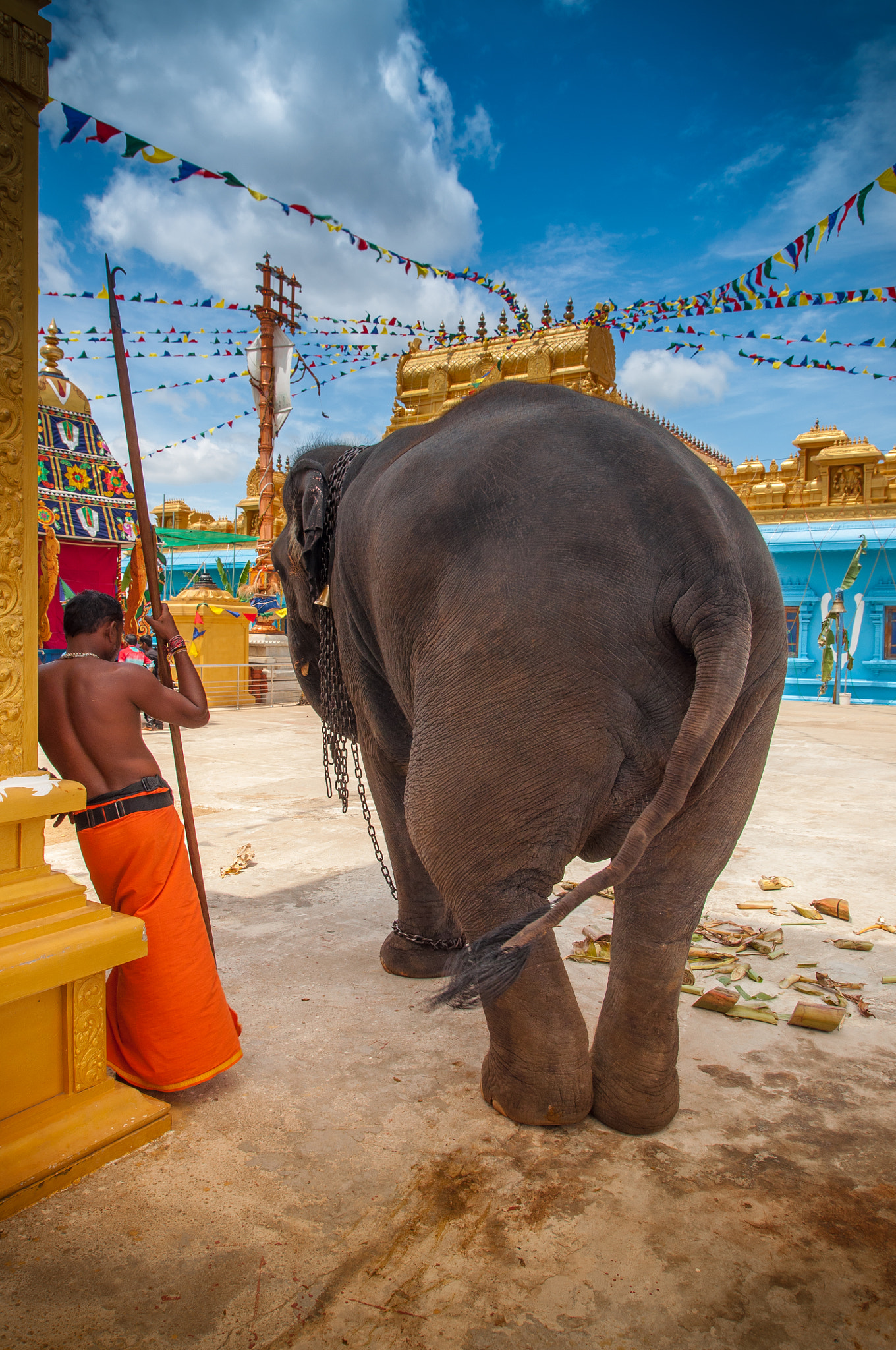 Nikon D5000 sample photo. Back of the elephant at the tempel in trinconmalee, sri lanka photography
