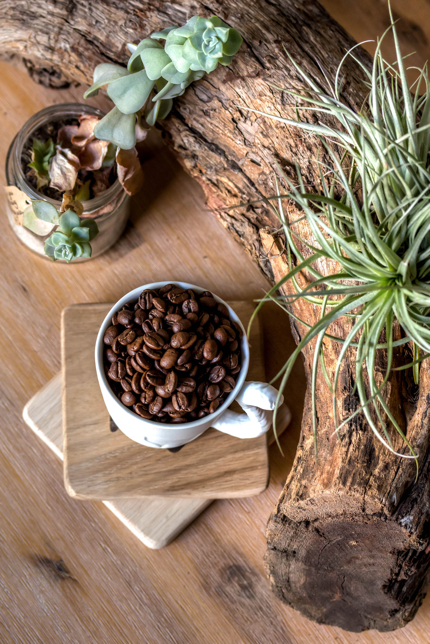 Canon EF-S 60mm F2.8 Macro USM sample photo. Cup of coffee photography