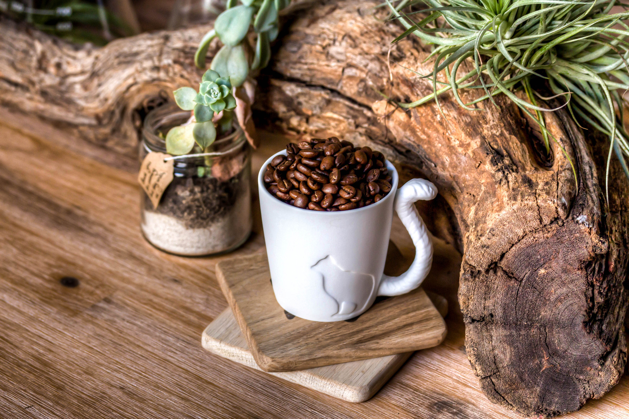Canon EF-S 60mm F2.8 Macro USM sample photo. Cup of coffee photography